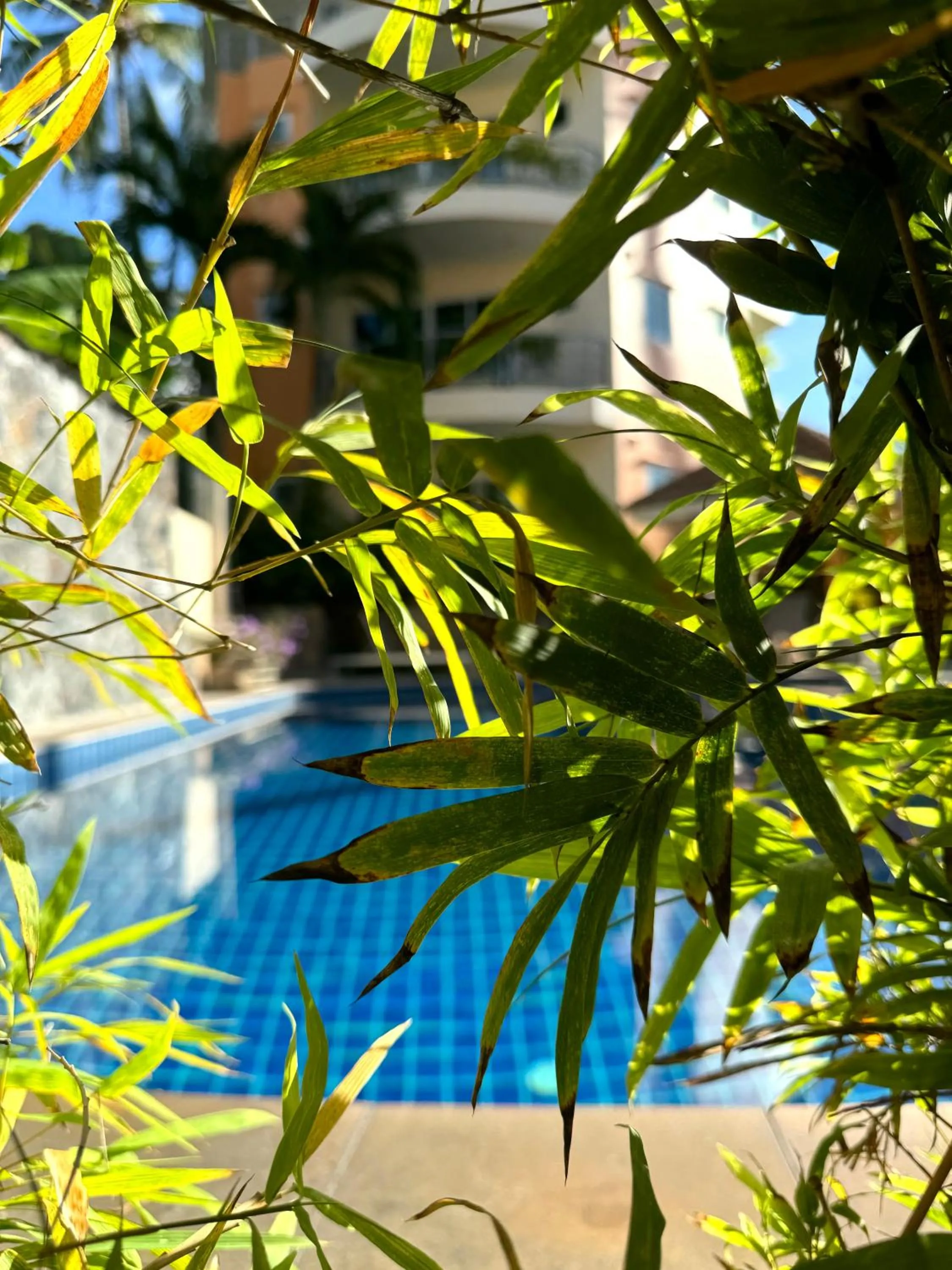 Property building in Chaweng Noi Residence