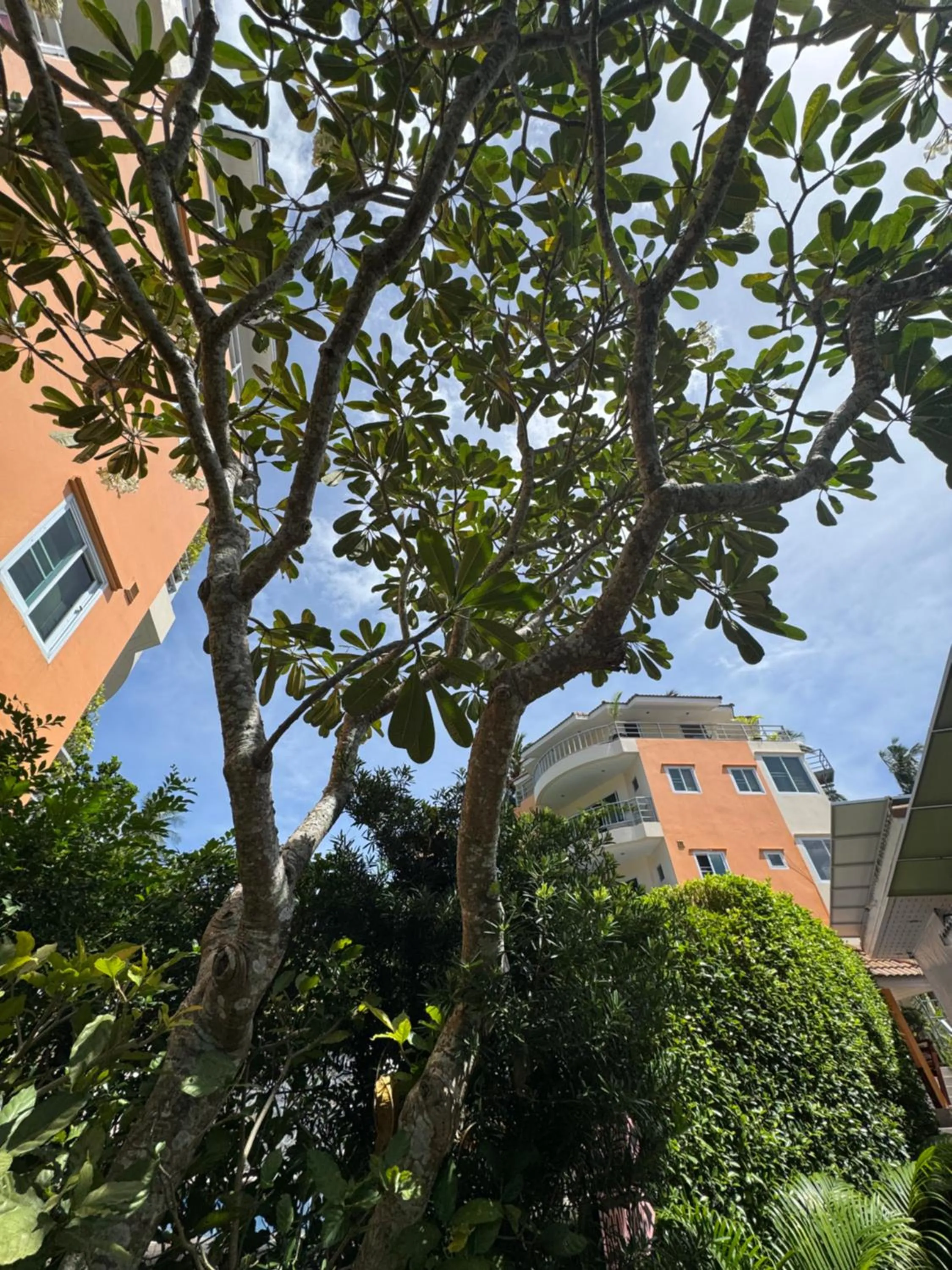 Property building in Chaweng Noi Residence