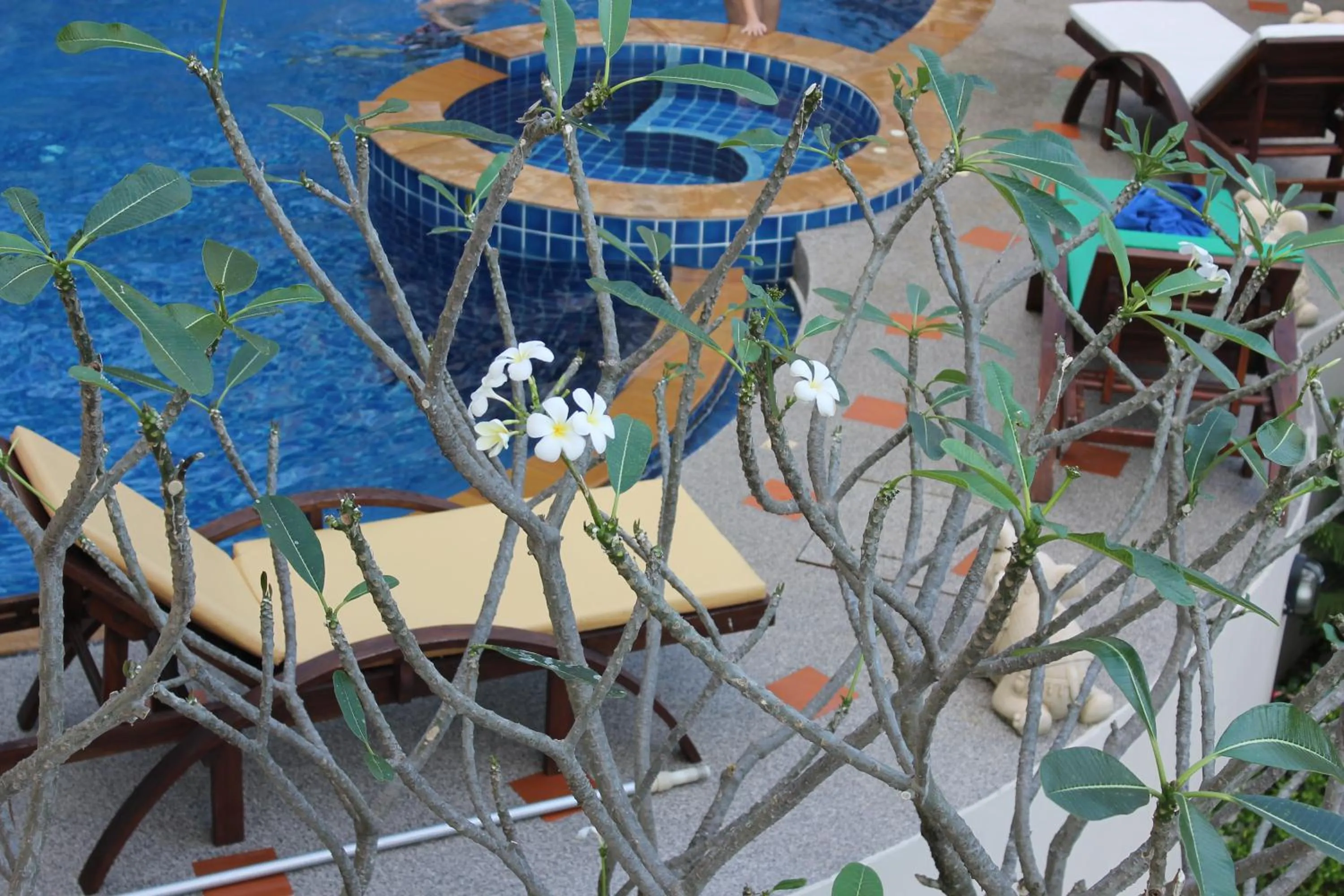 Other in Chaweng Noi Residence