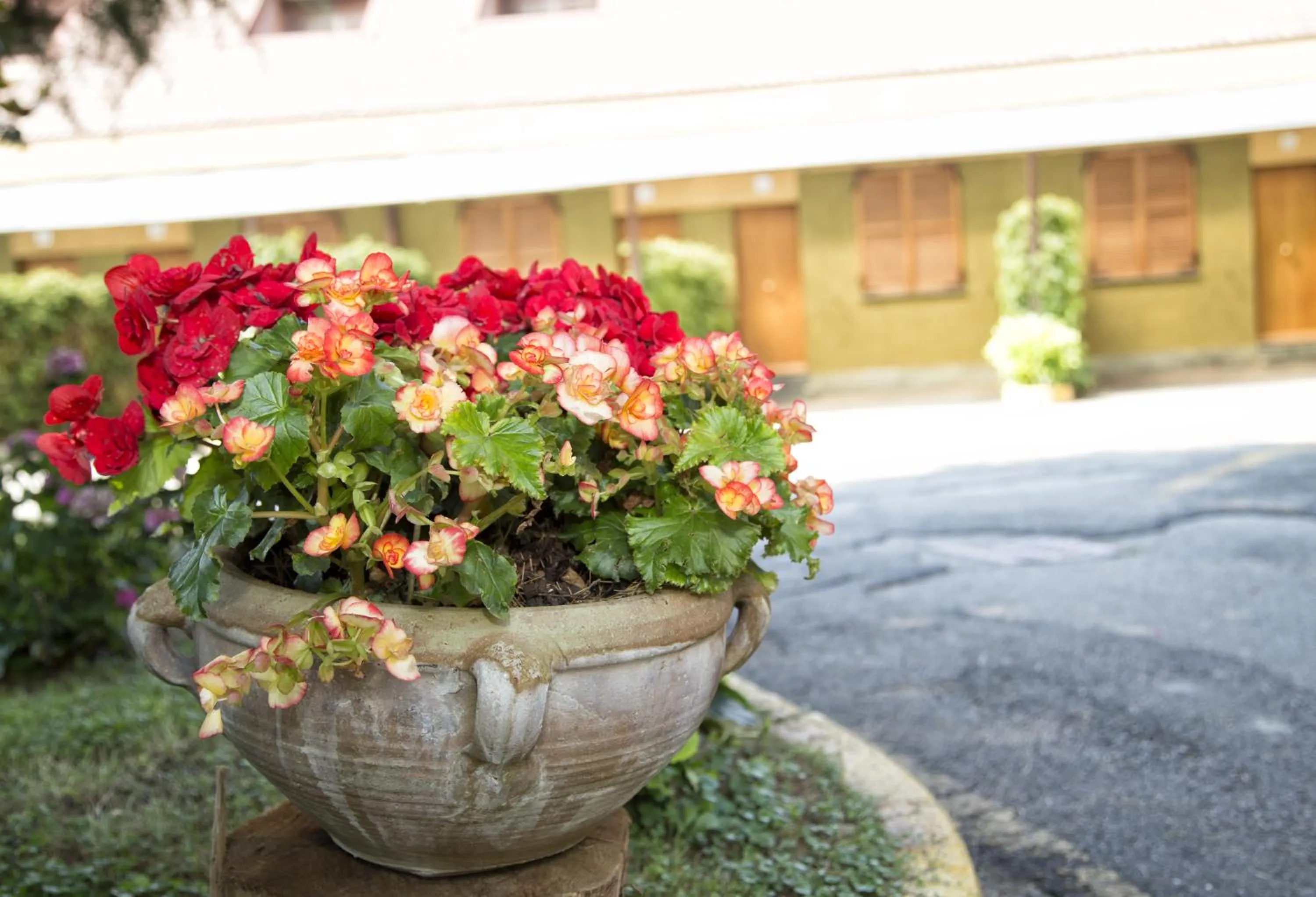 Day in Hotel Motel Ovest