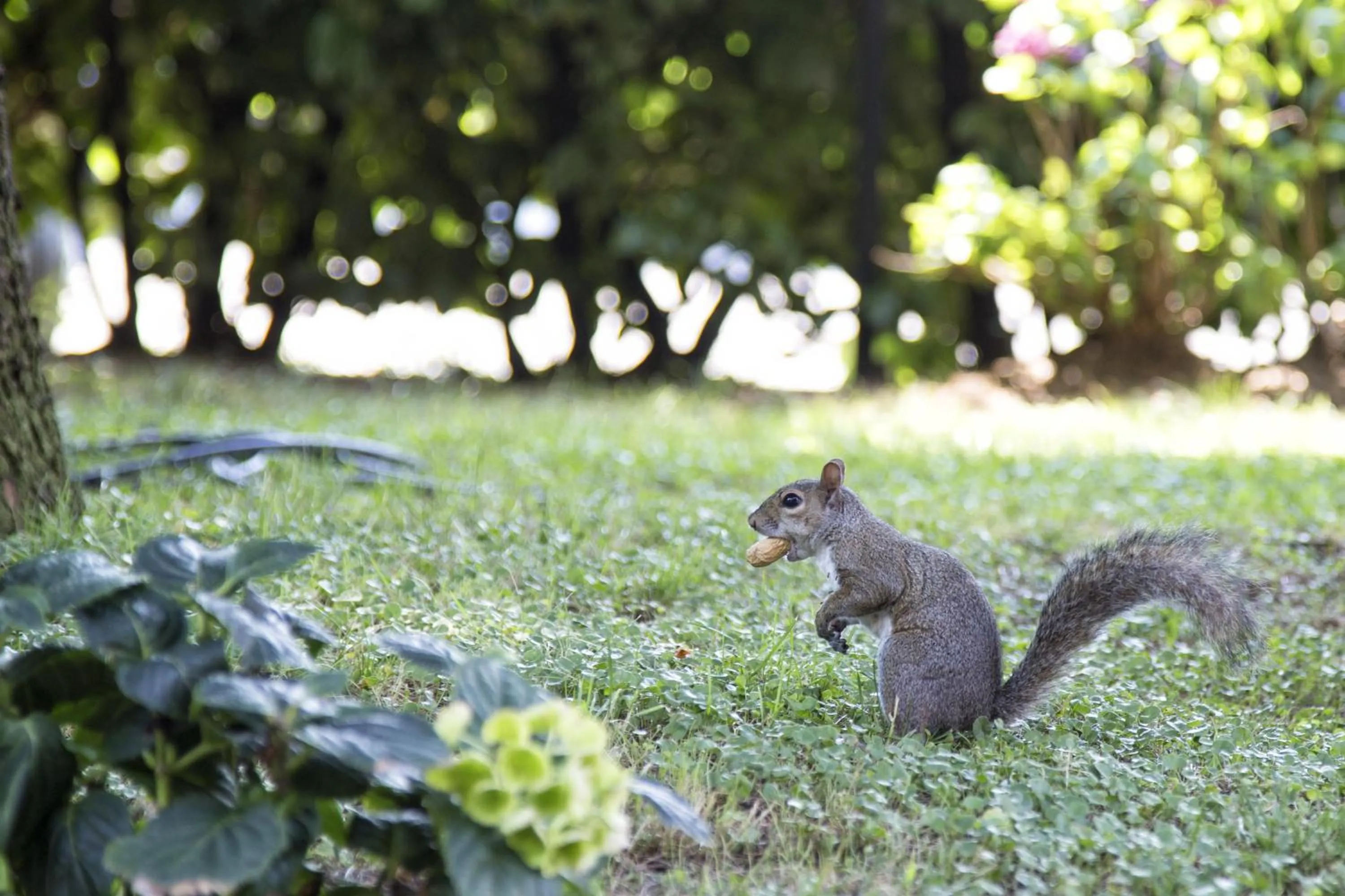 Day in Hotel Motel Ovest