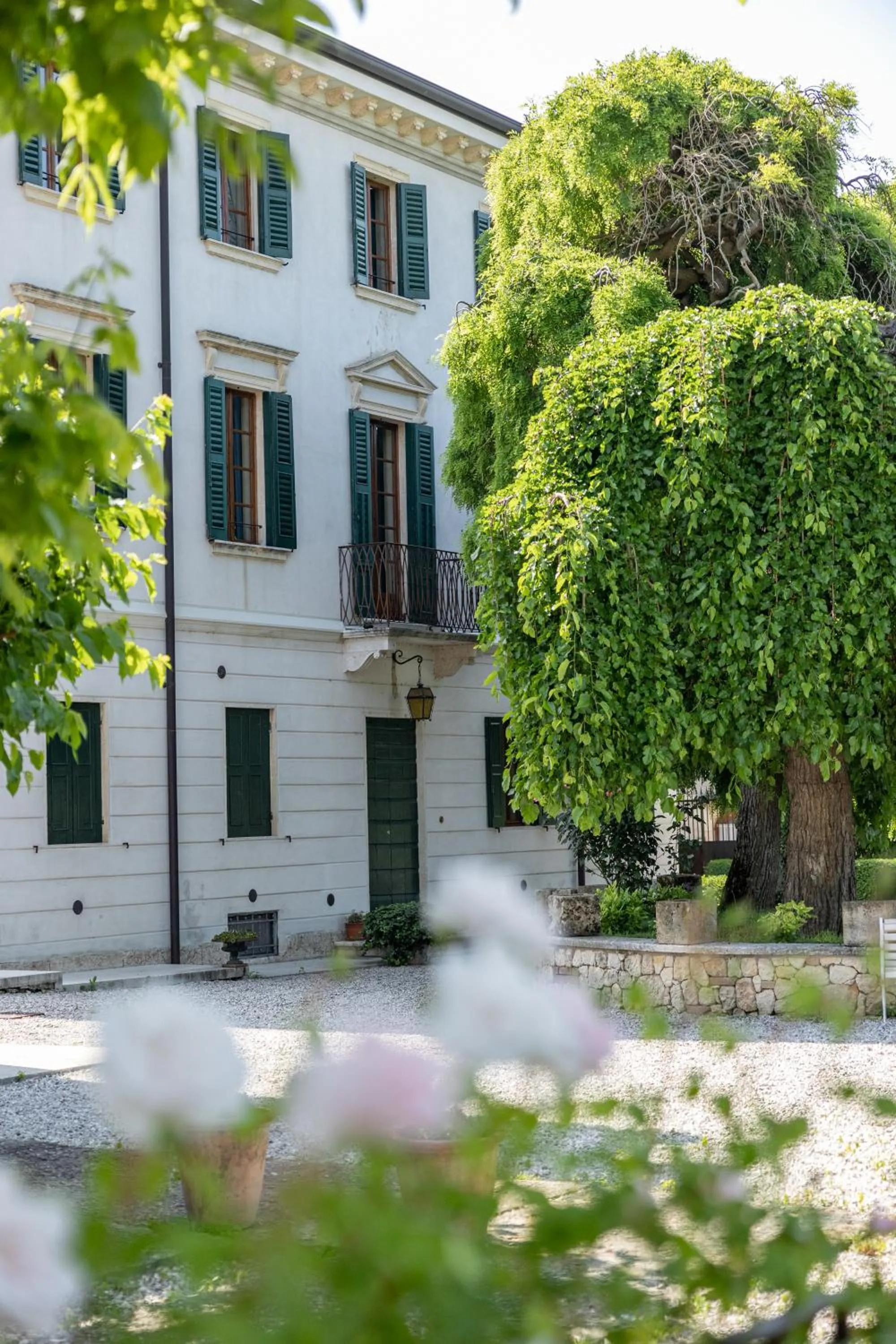 Property building in Villa Nichesola