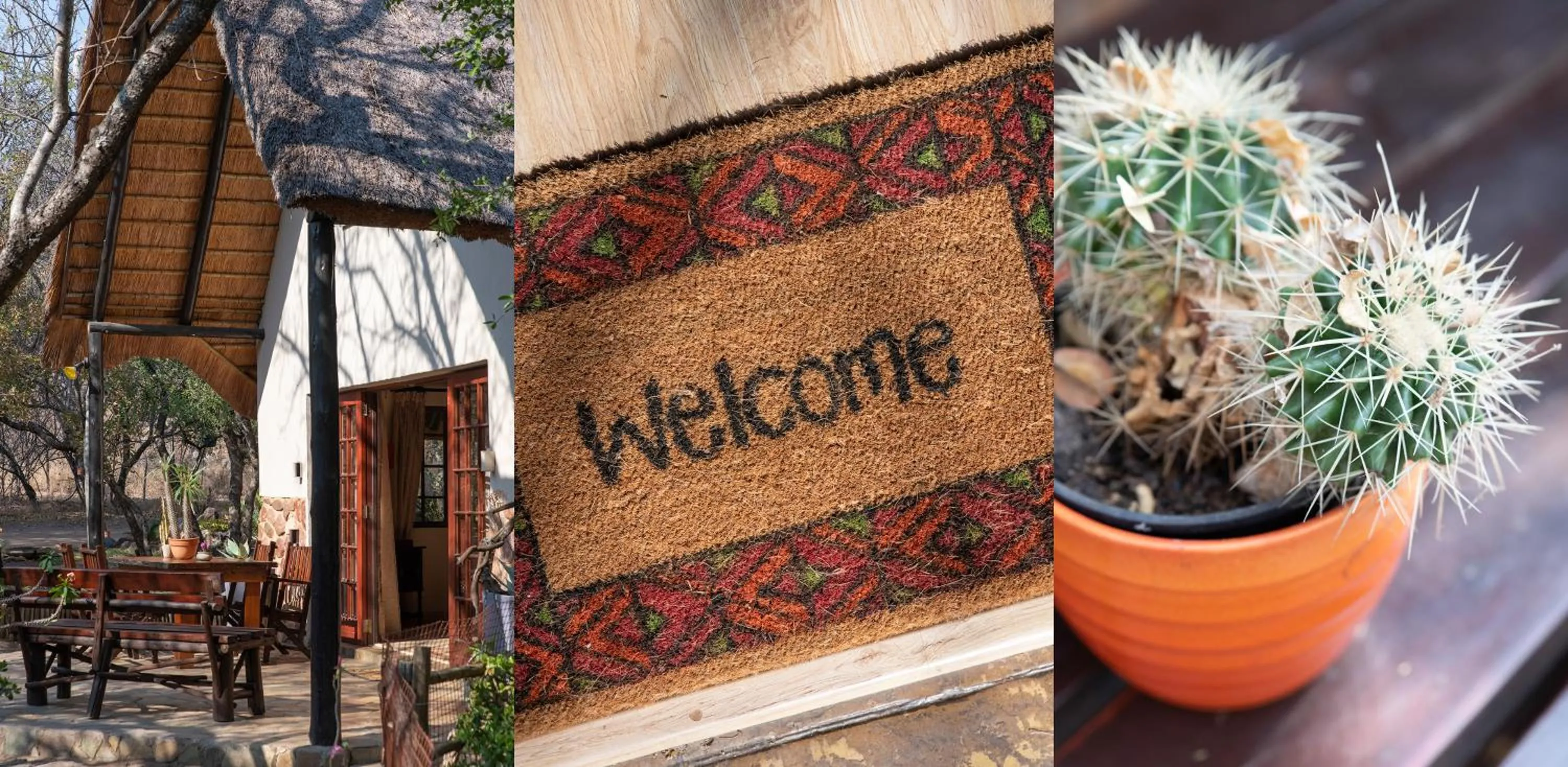 Property building in Blyde River Canyon Lodge