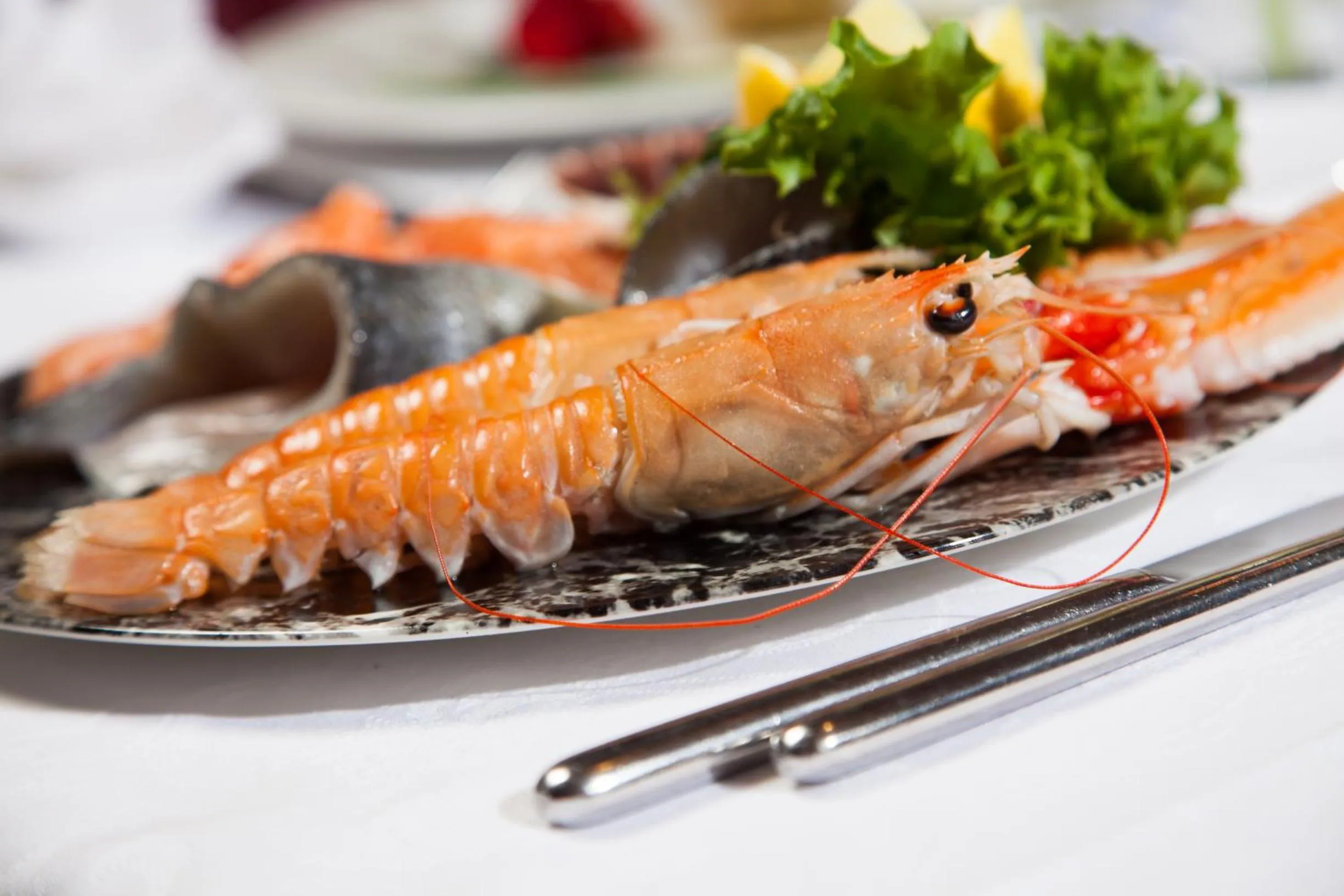 Food close-up in Hotel Comfort Erica Dolomiti Val d'Adige