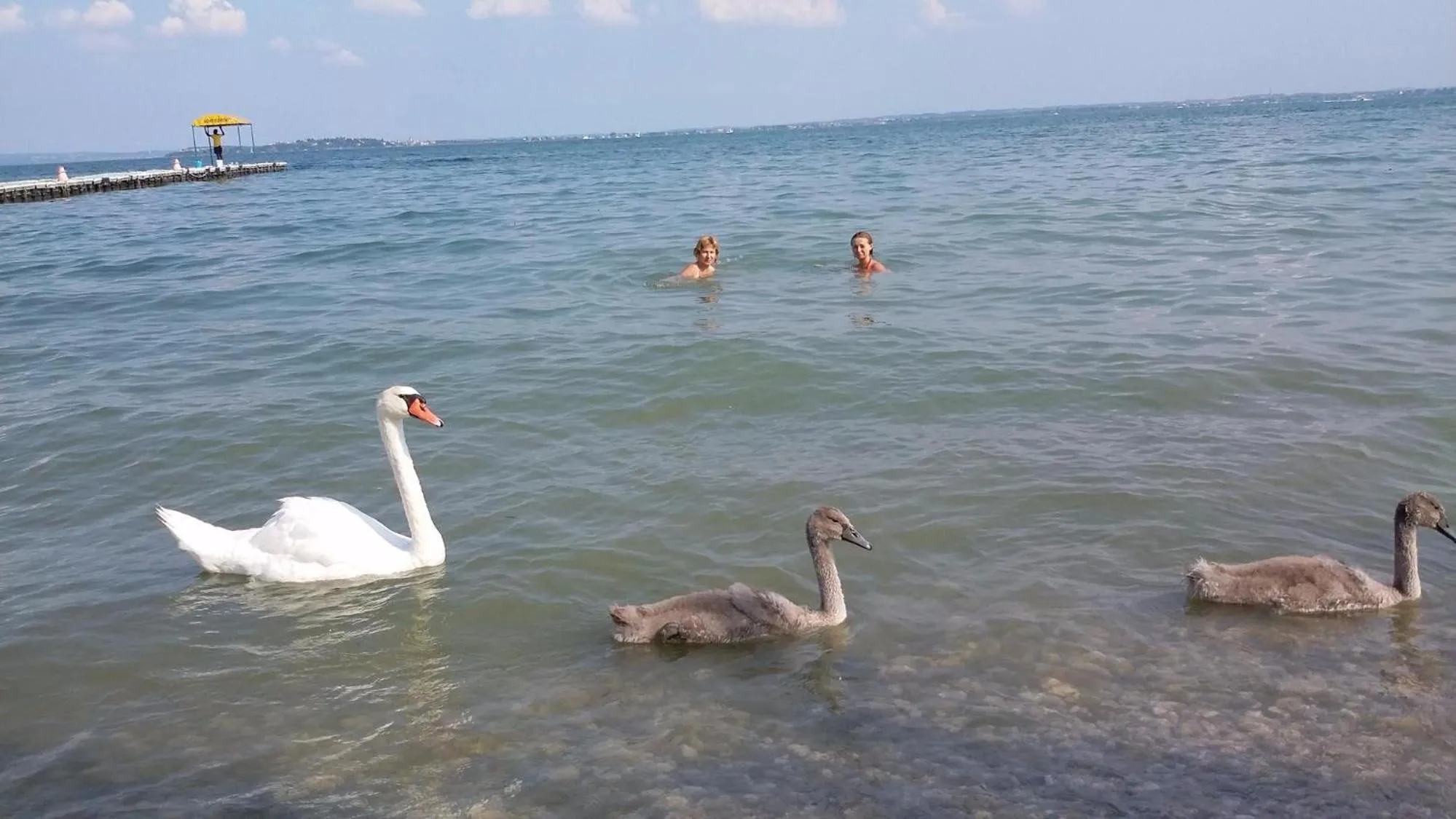 Other in Hotel Du Lac