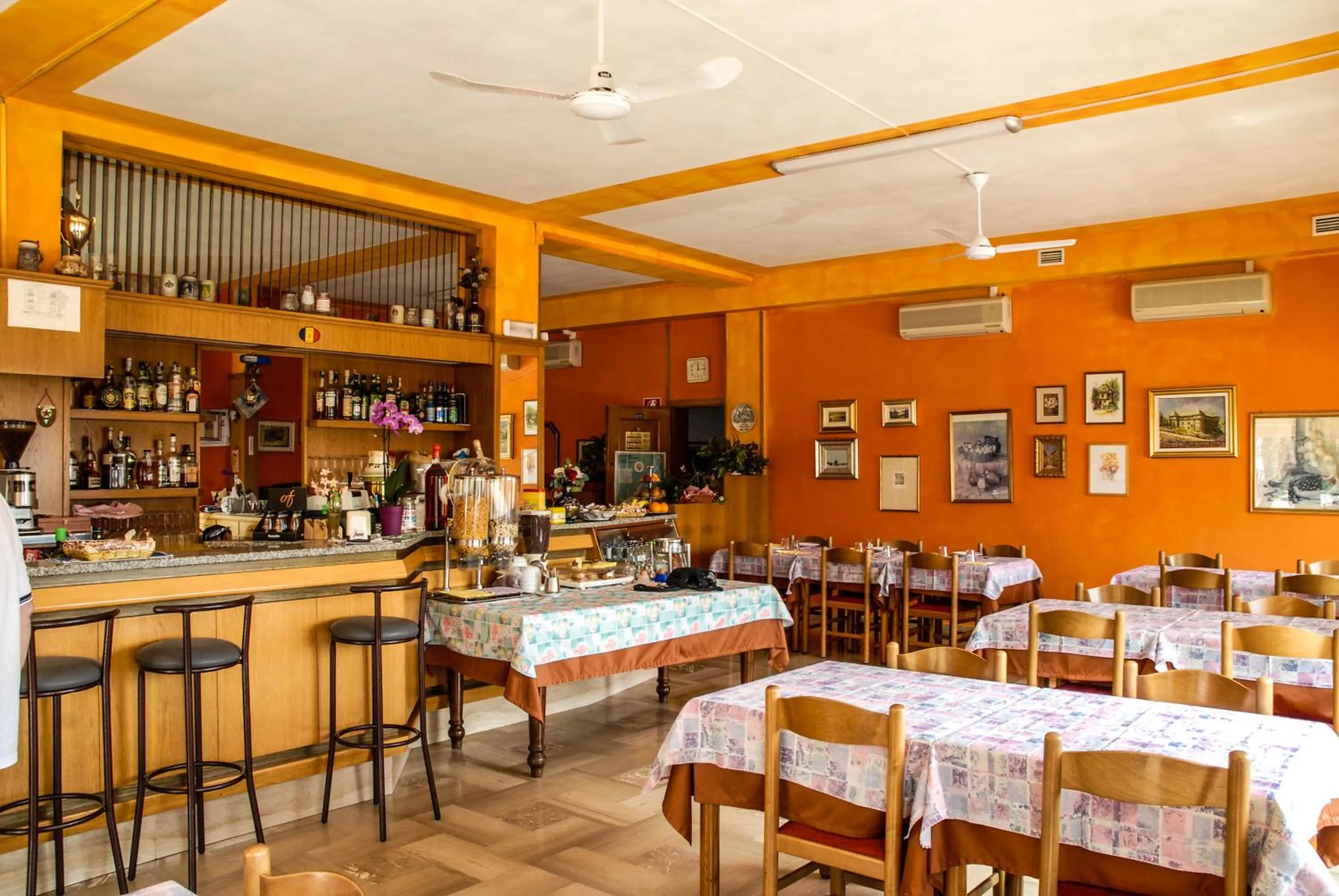 Lounge or bar in Hotel Du Lac