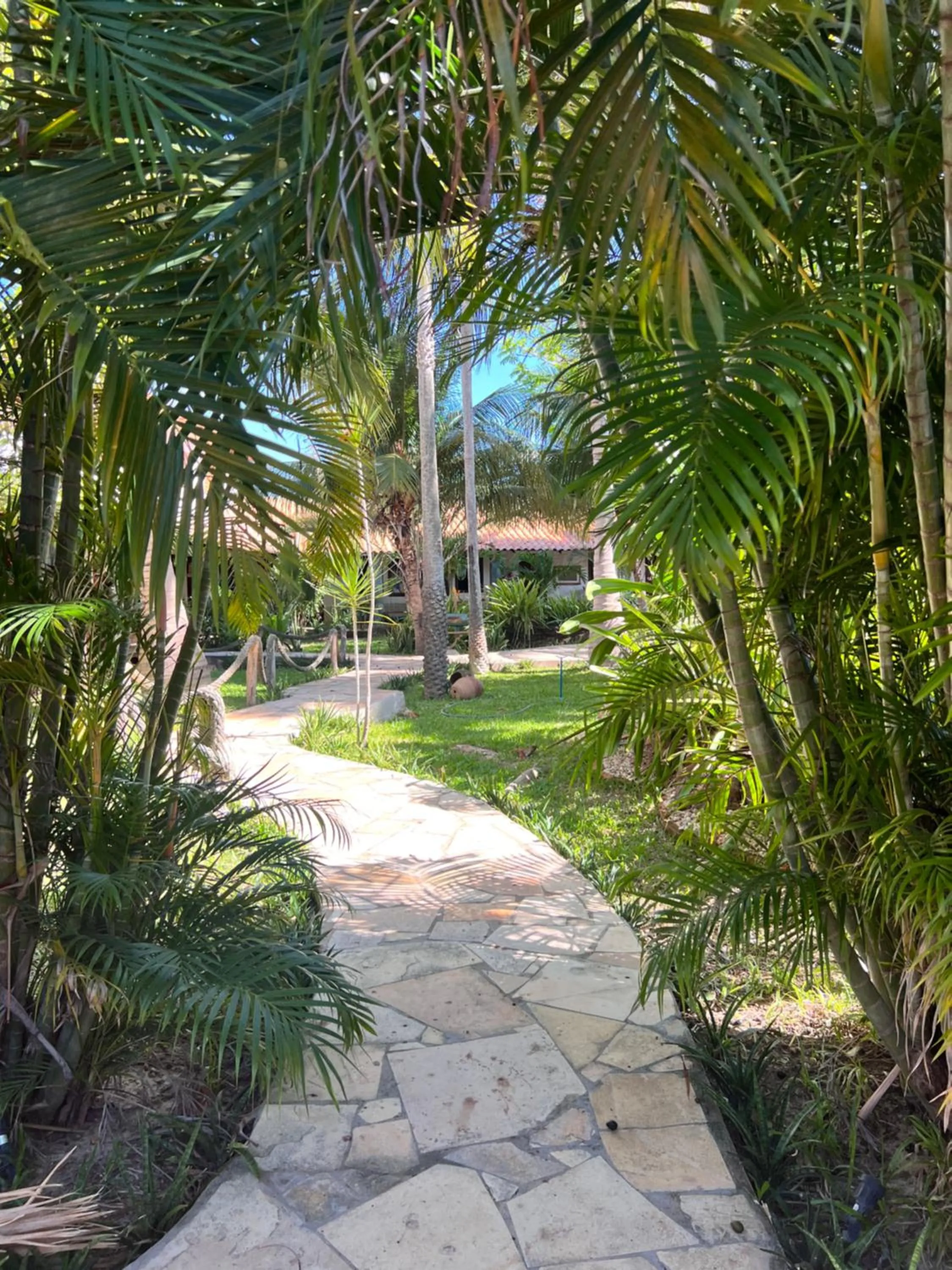 Garden in Pousada Vila Parnaíba