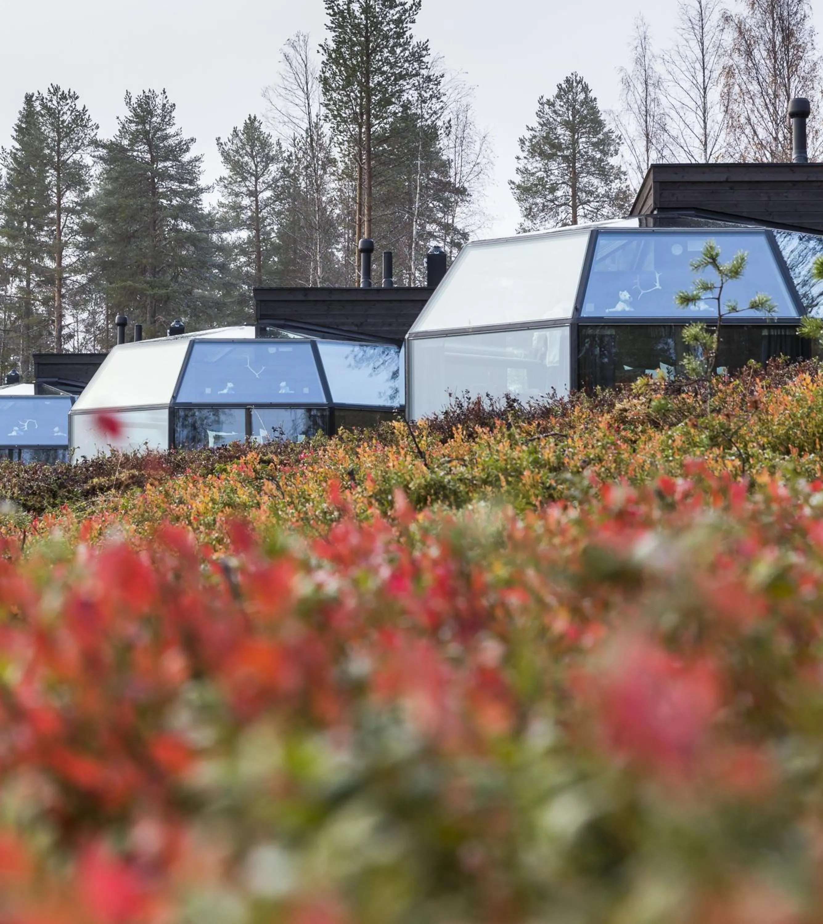 Autumn in Ranua Resort Arctic Igloos