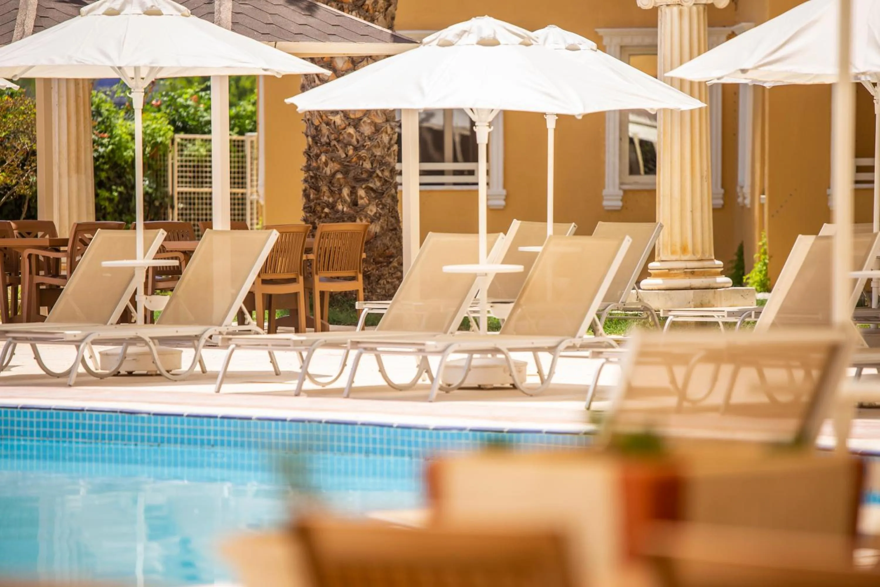Swimming pool in Hotel Esra and Family Suites - All Inclusive