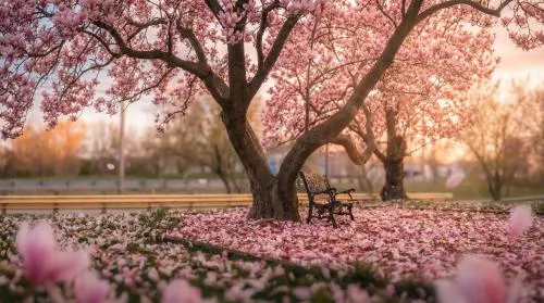 Strathaird Bed and Breakfast