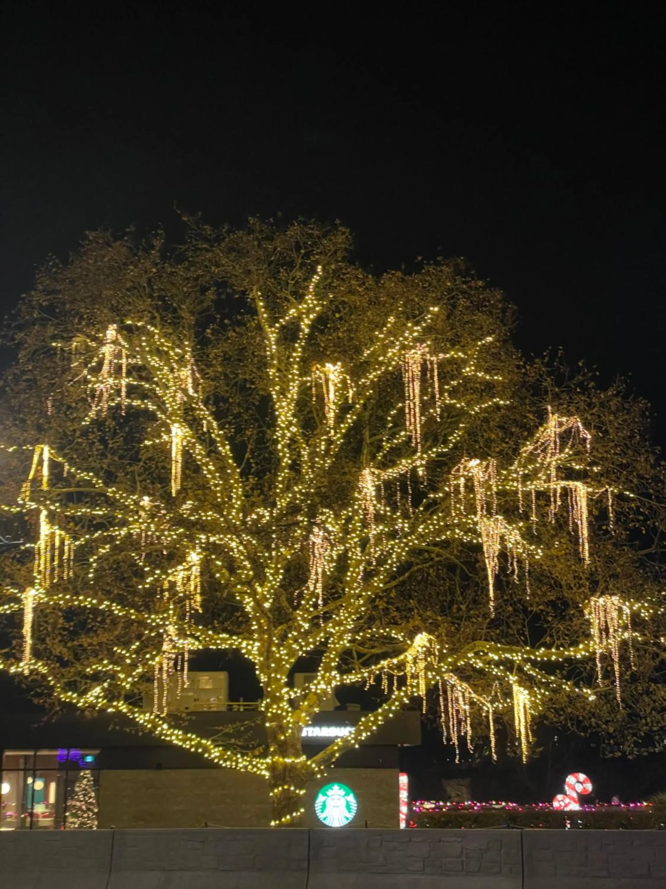 Activities in Strathaird Bed and Breakfast