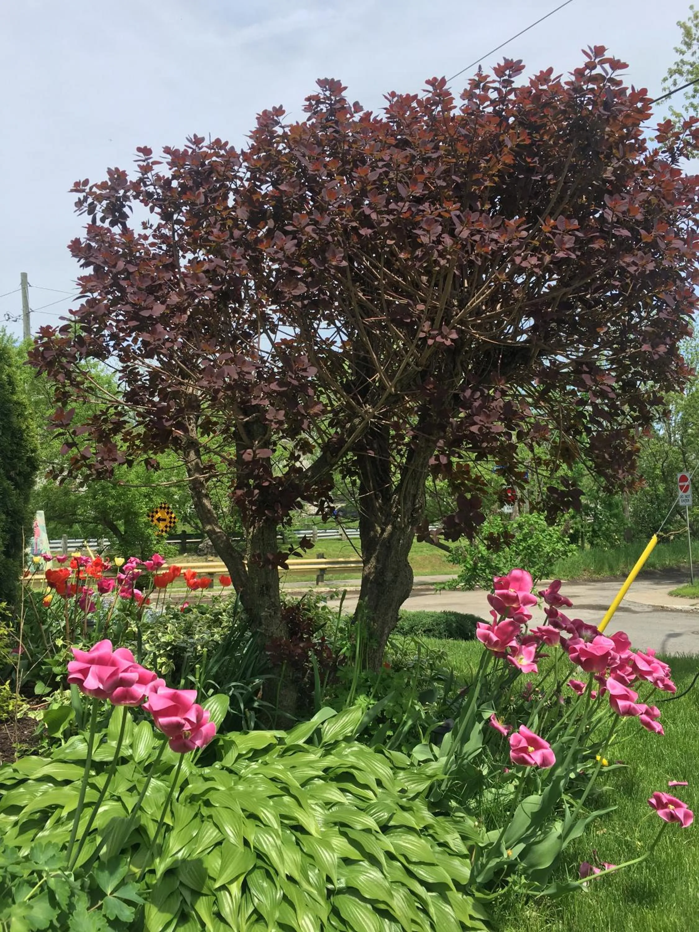 Natural landscape in Strathaird Bed and Breakfast