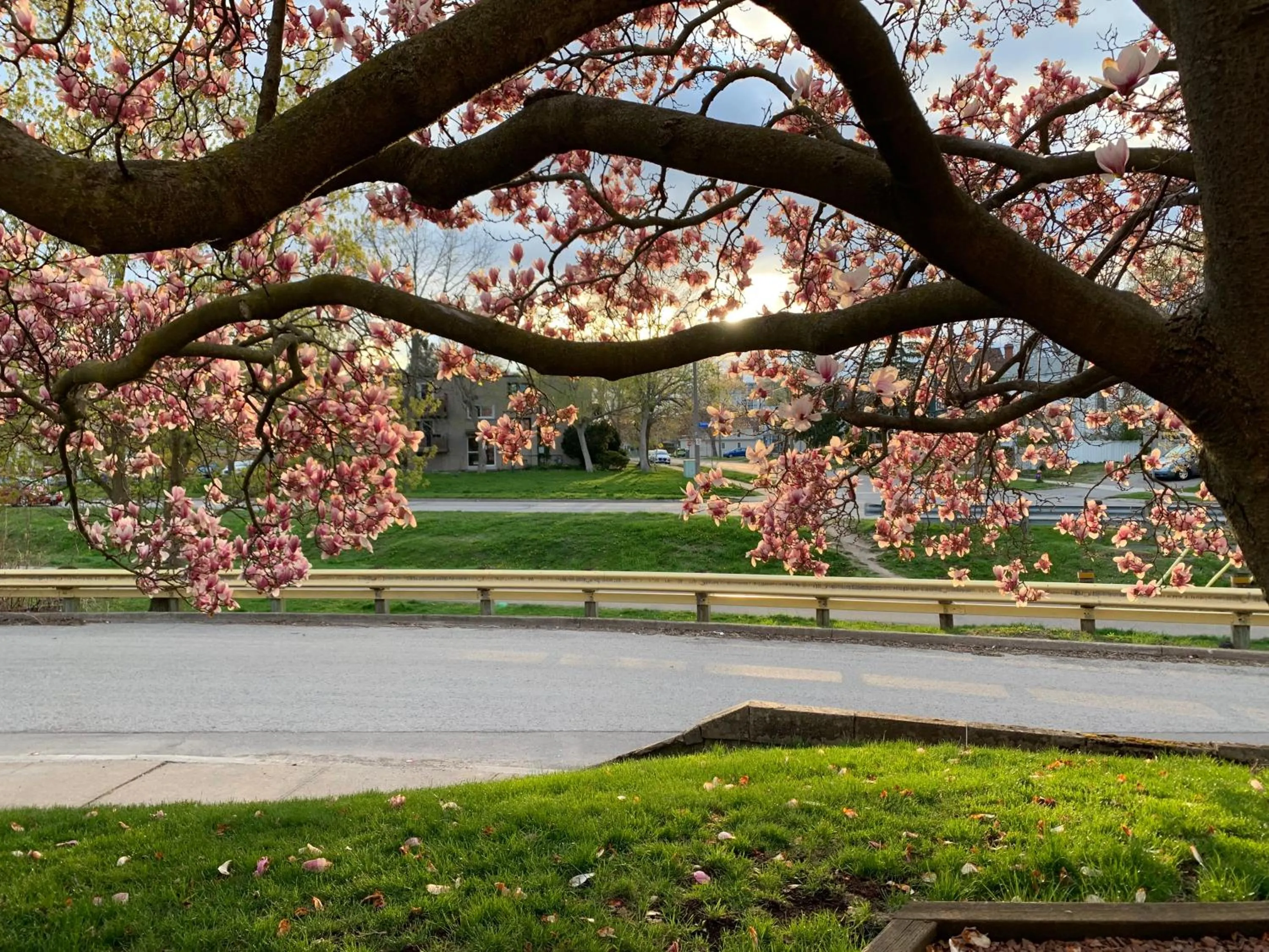 Spring in Strathaird Bed and Breakfast