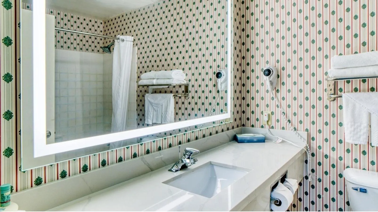 Bathroom in Evergreen Inn & Suites