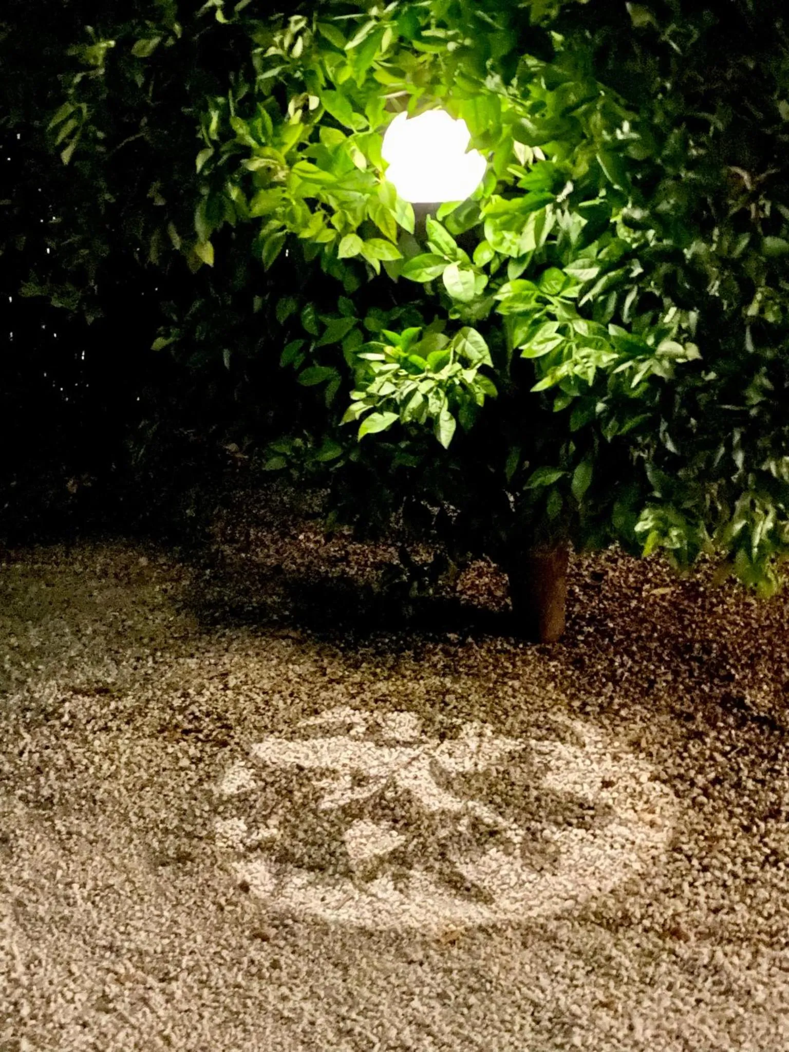 Casa Baliza, adults only