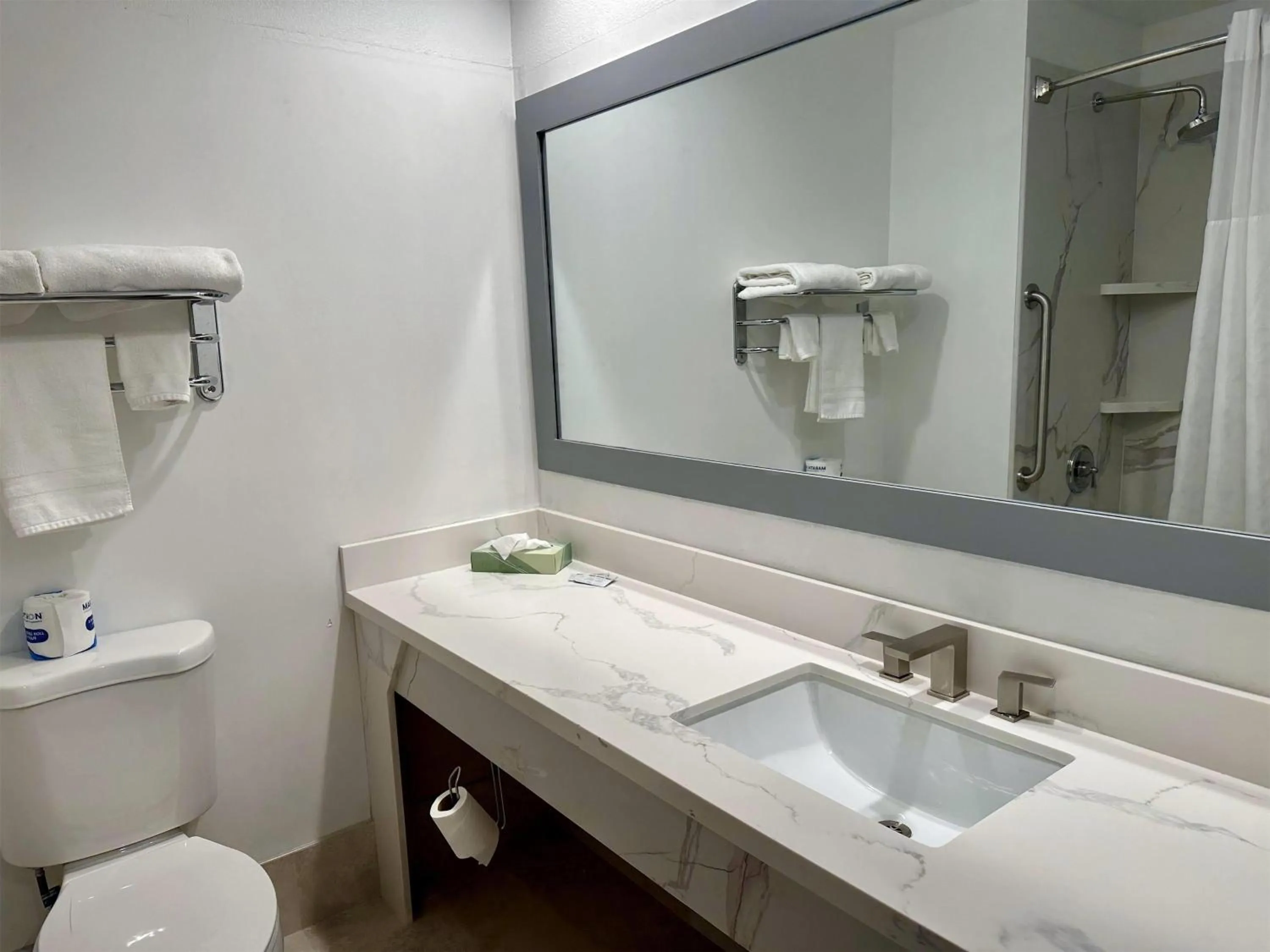 Bathroom in Rocklin Park Hotel, Trademark Collection by Wyndham