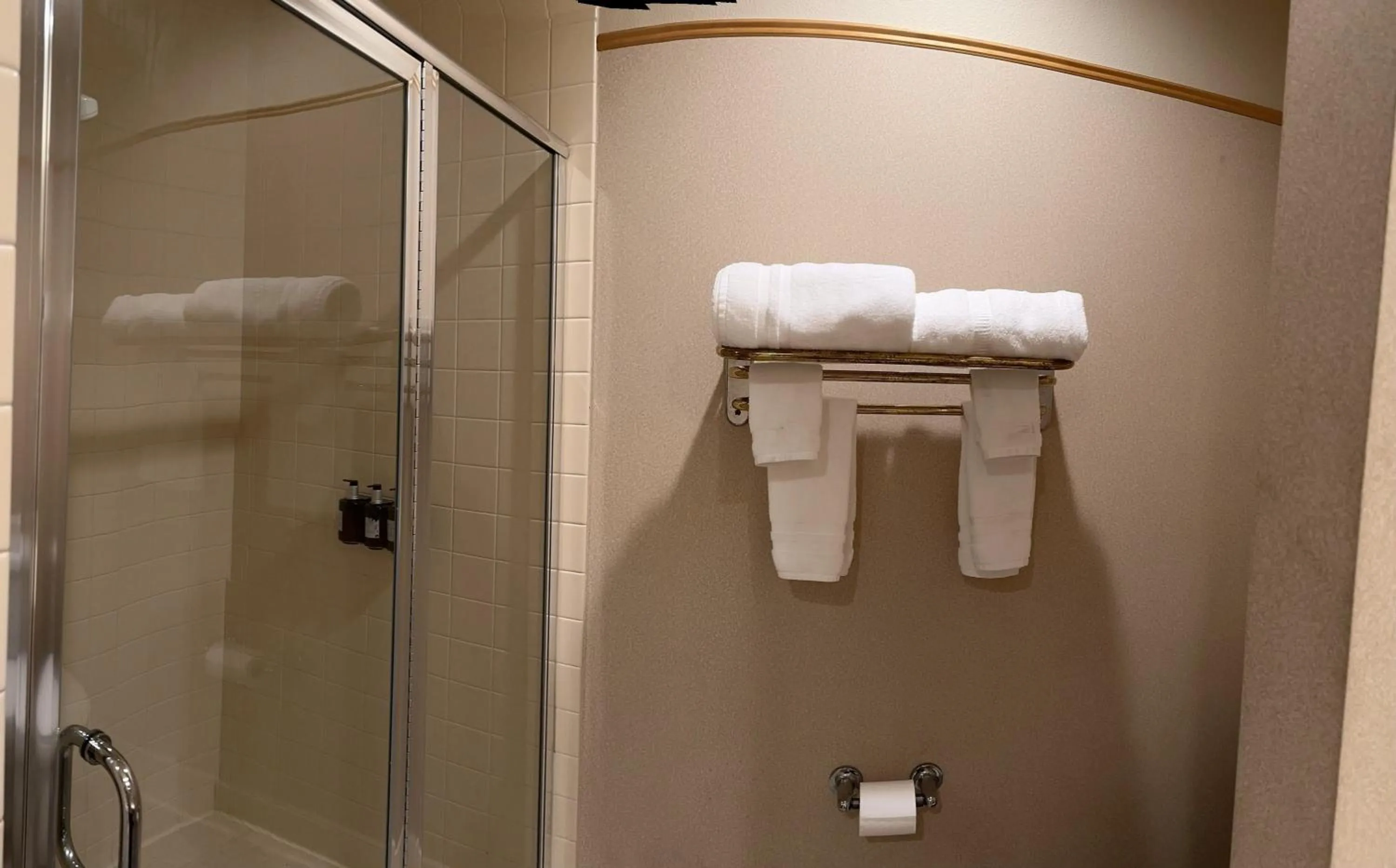Shower in Rocklin Park Hotel, Trademark Collection by Wyndham