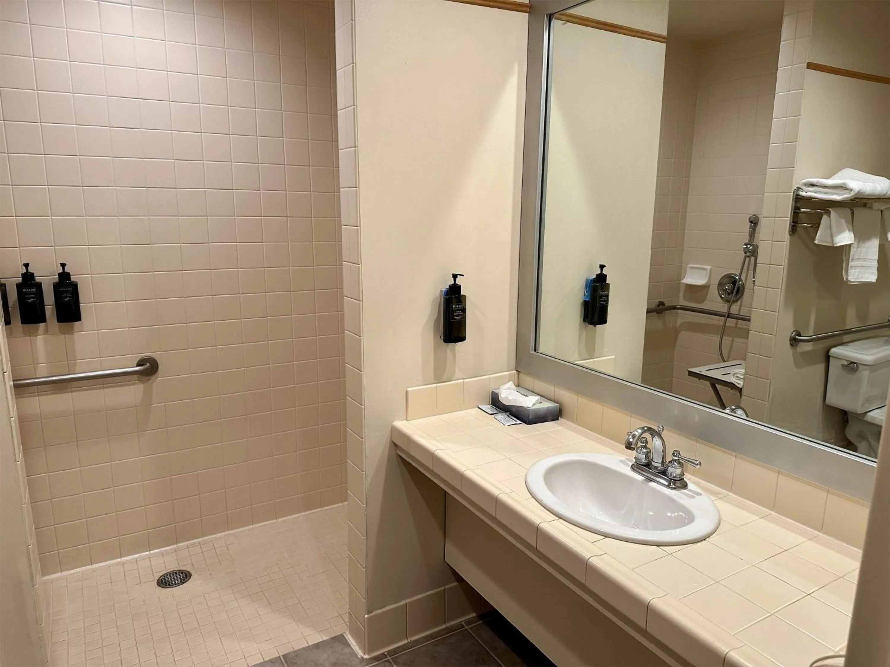 Bathroom in Rocklin Park Hotel, Trademark Collection by Wyndham