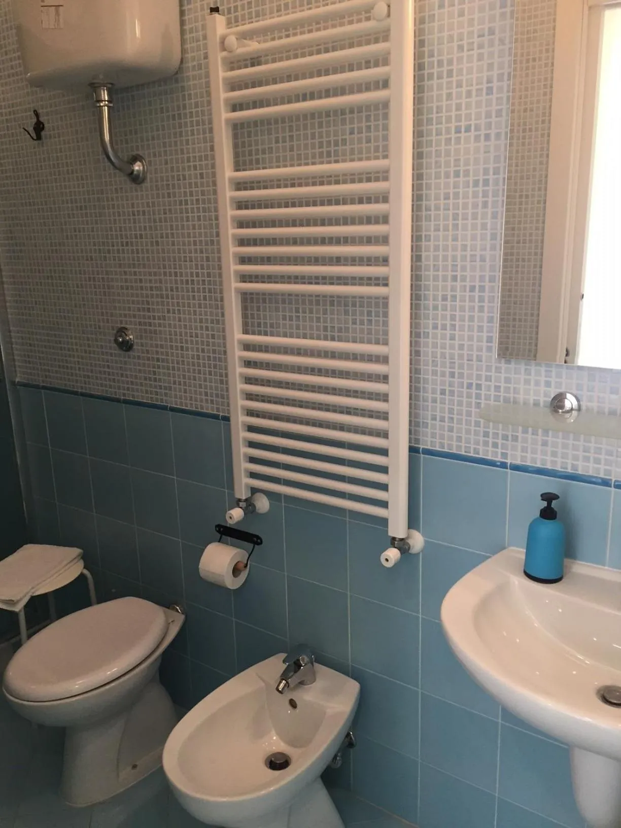 Toilet in Albergo Oasi