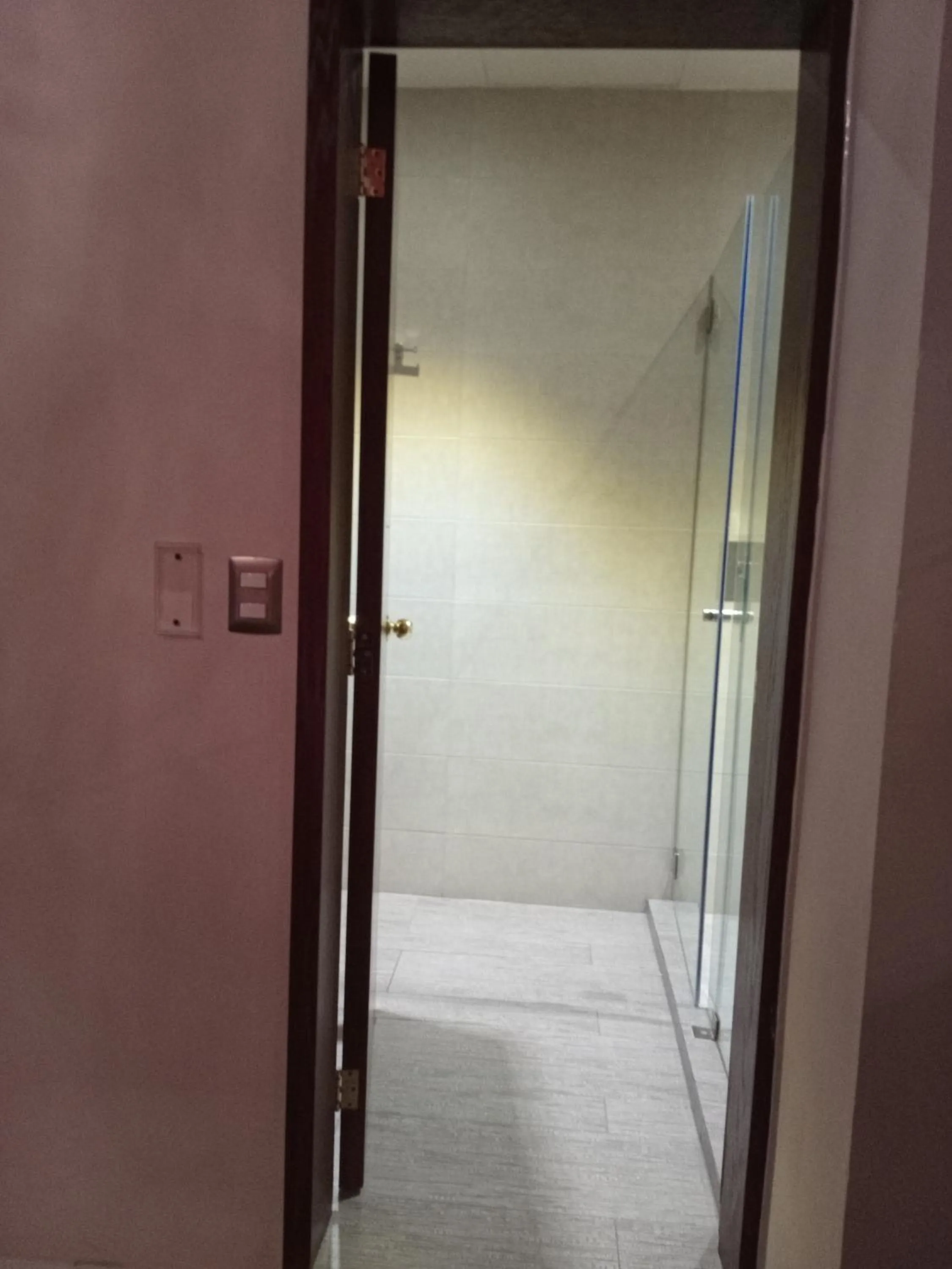 Hotel Alameda Centro Historico