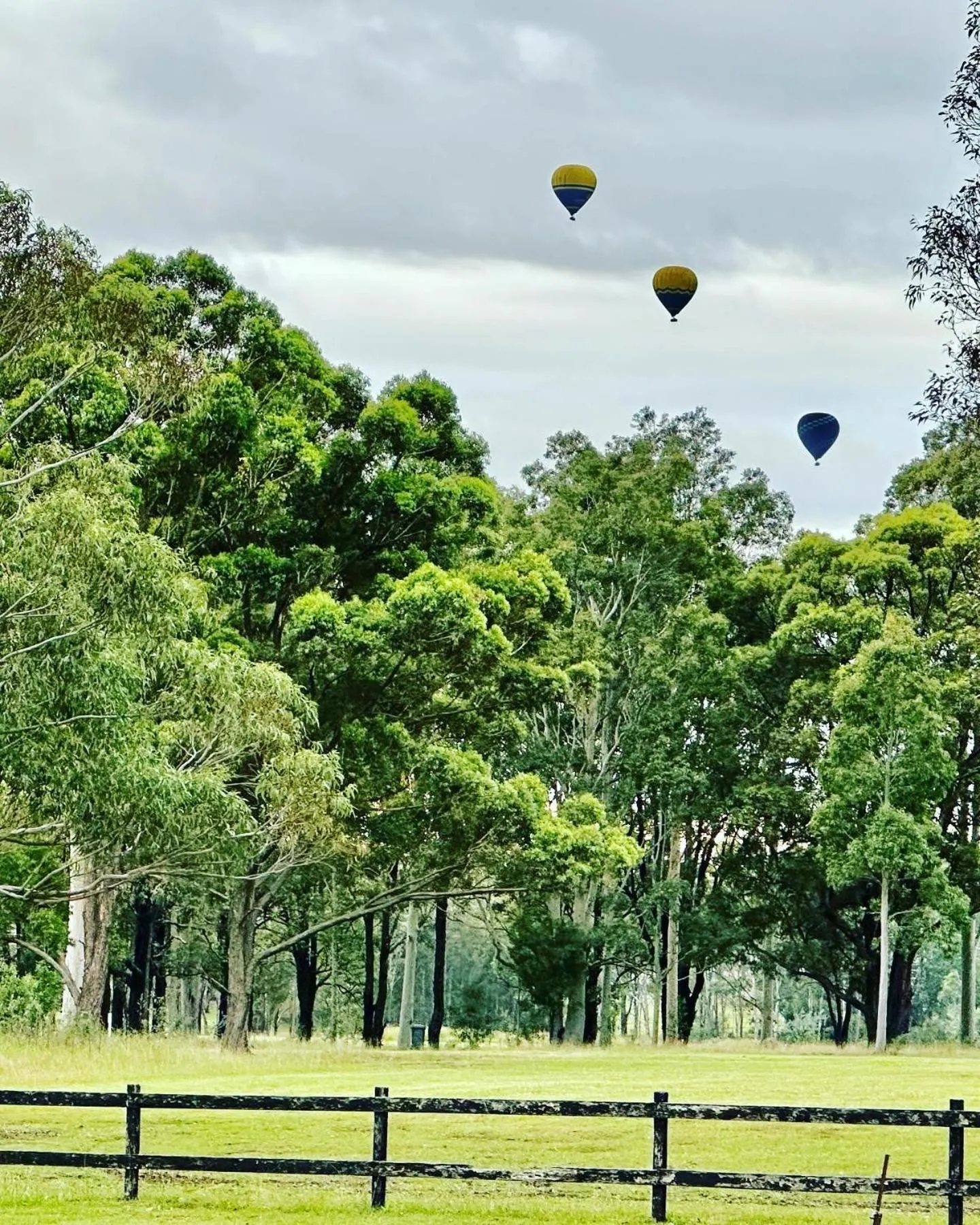 Natural landscape in Pokolbin Village Estate