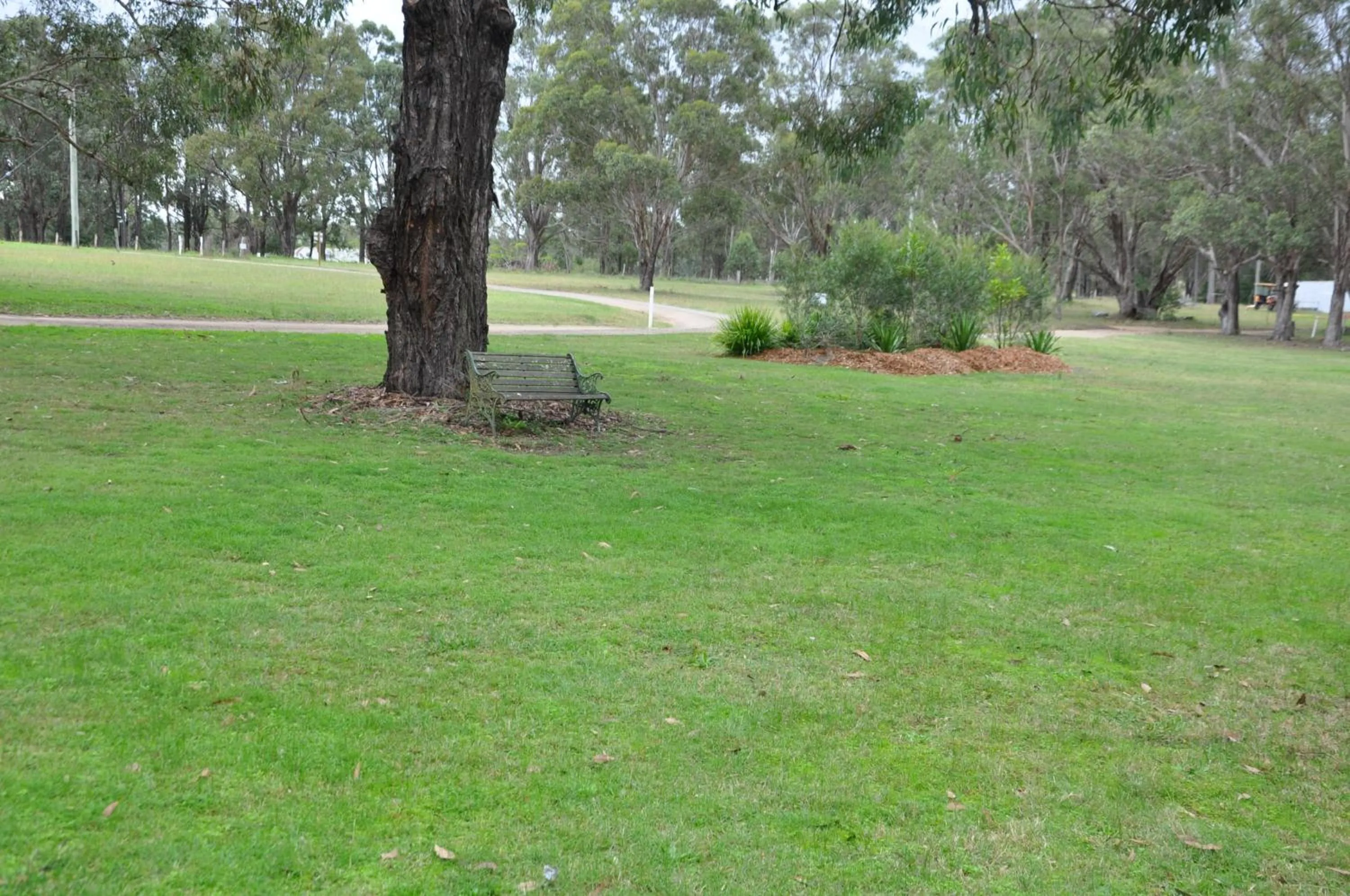 Natural landscape in Pokolbin Village Estate