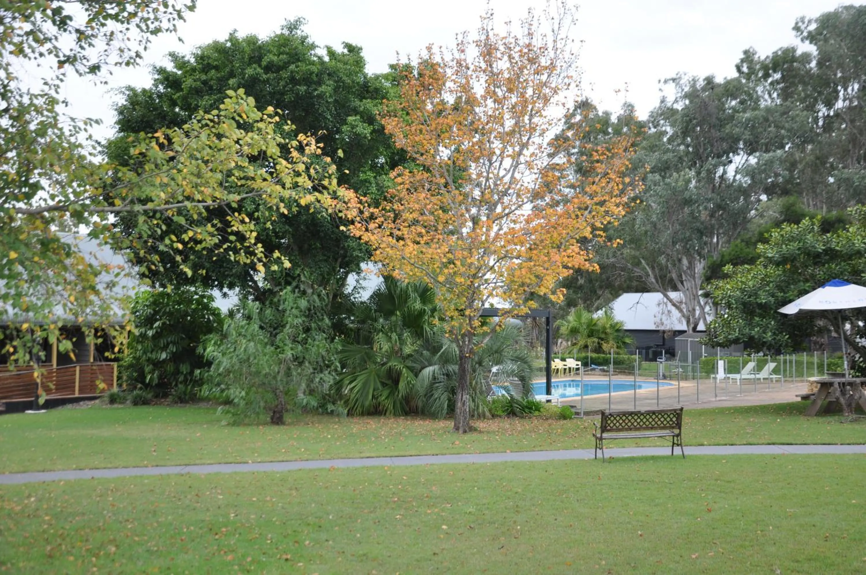 Natural landscape in Pokolbin Village Estate