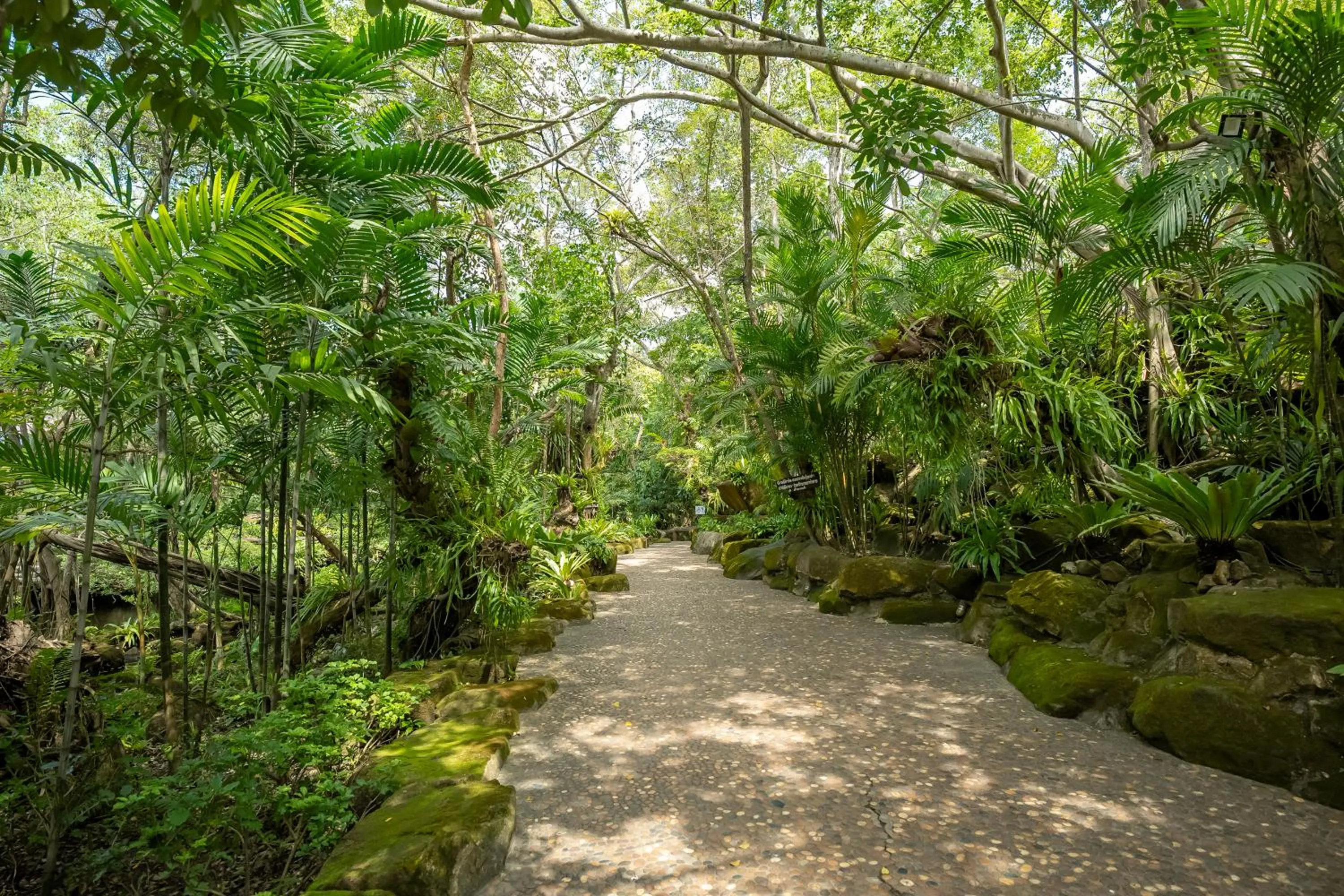 Restaurant/places to eat in Tamnanpar Resort