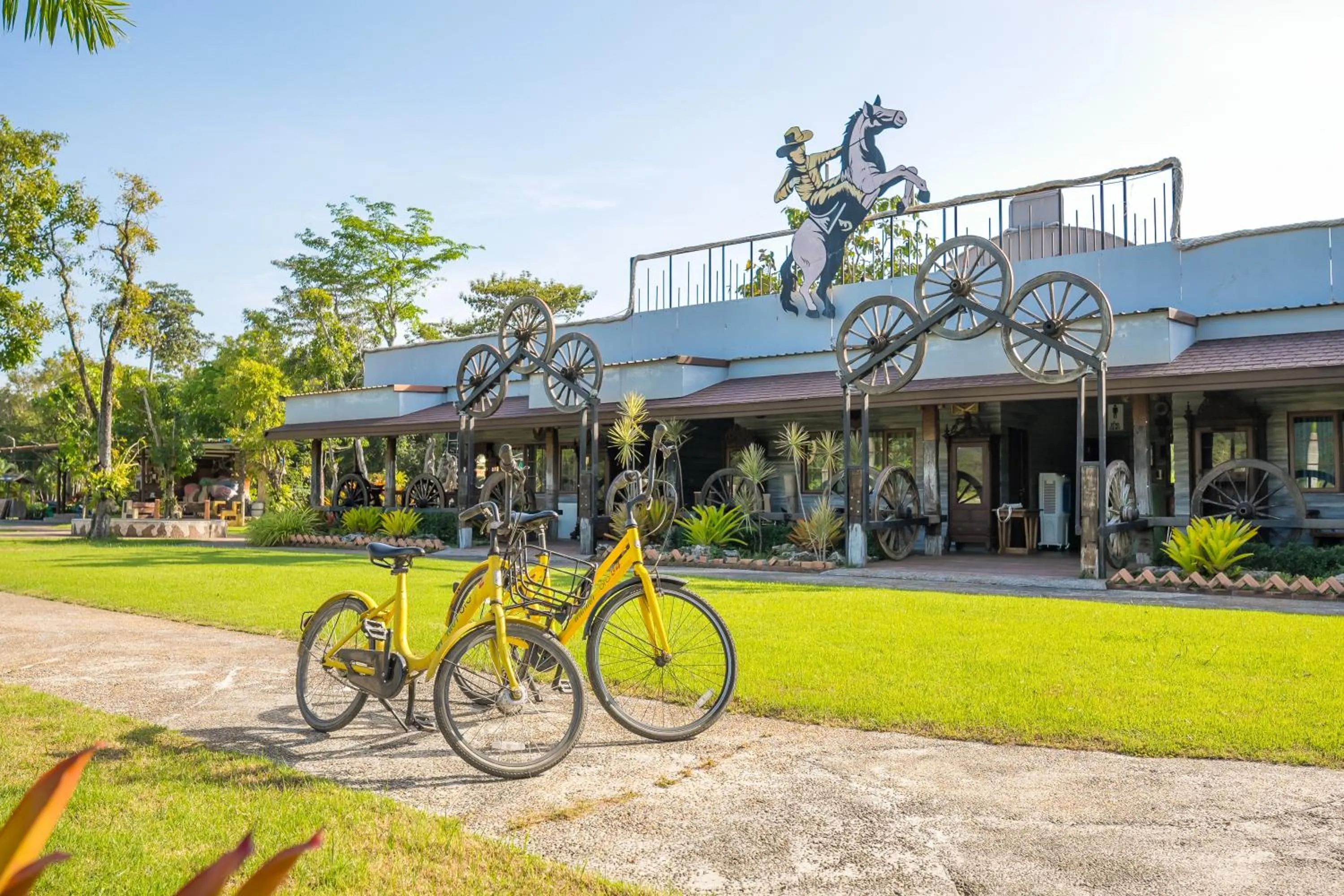 Activities in Tamnanpar Resort