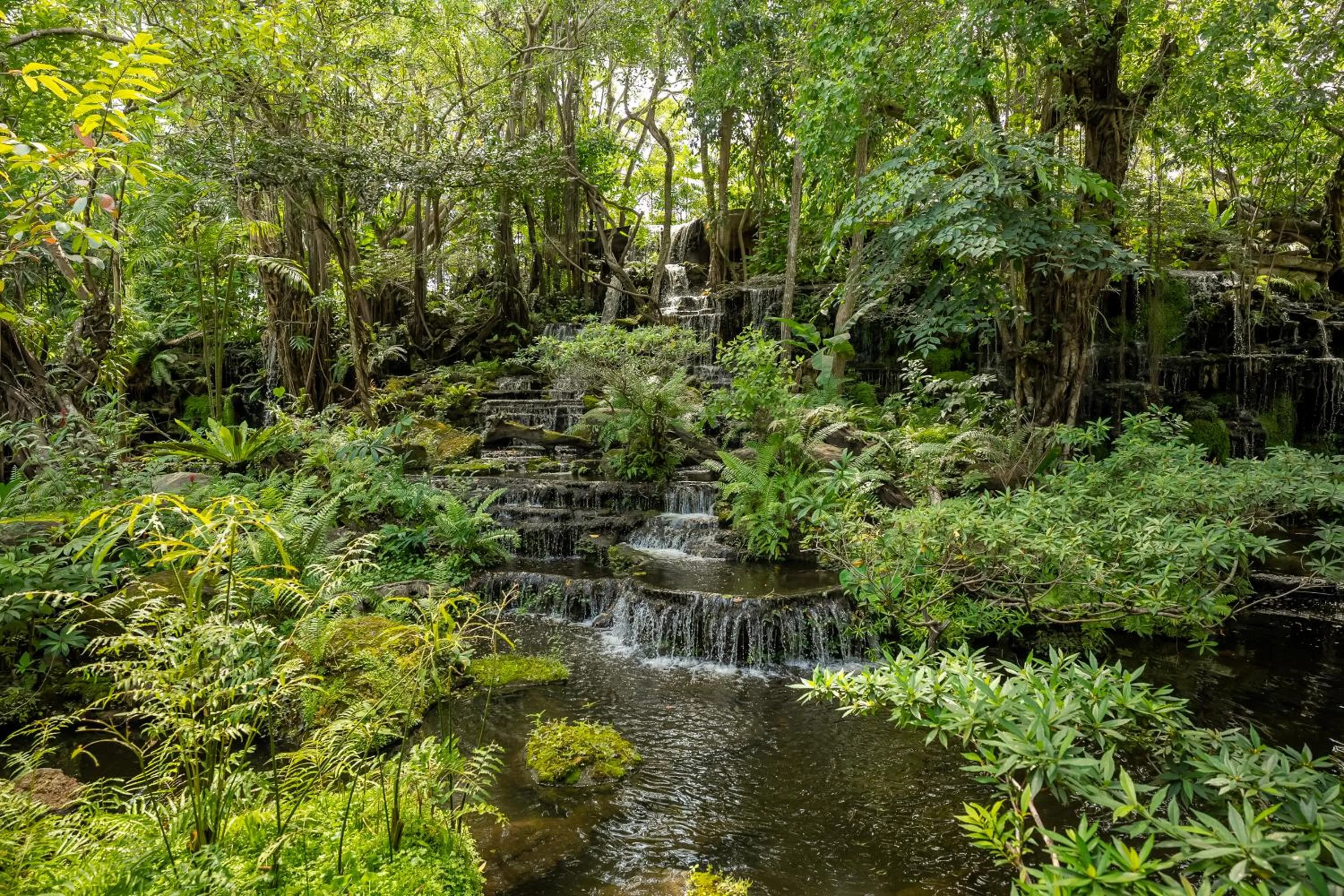 Restaurant/places to eat in Tamnanpar Resort