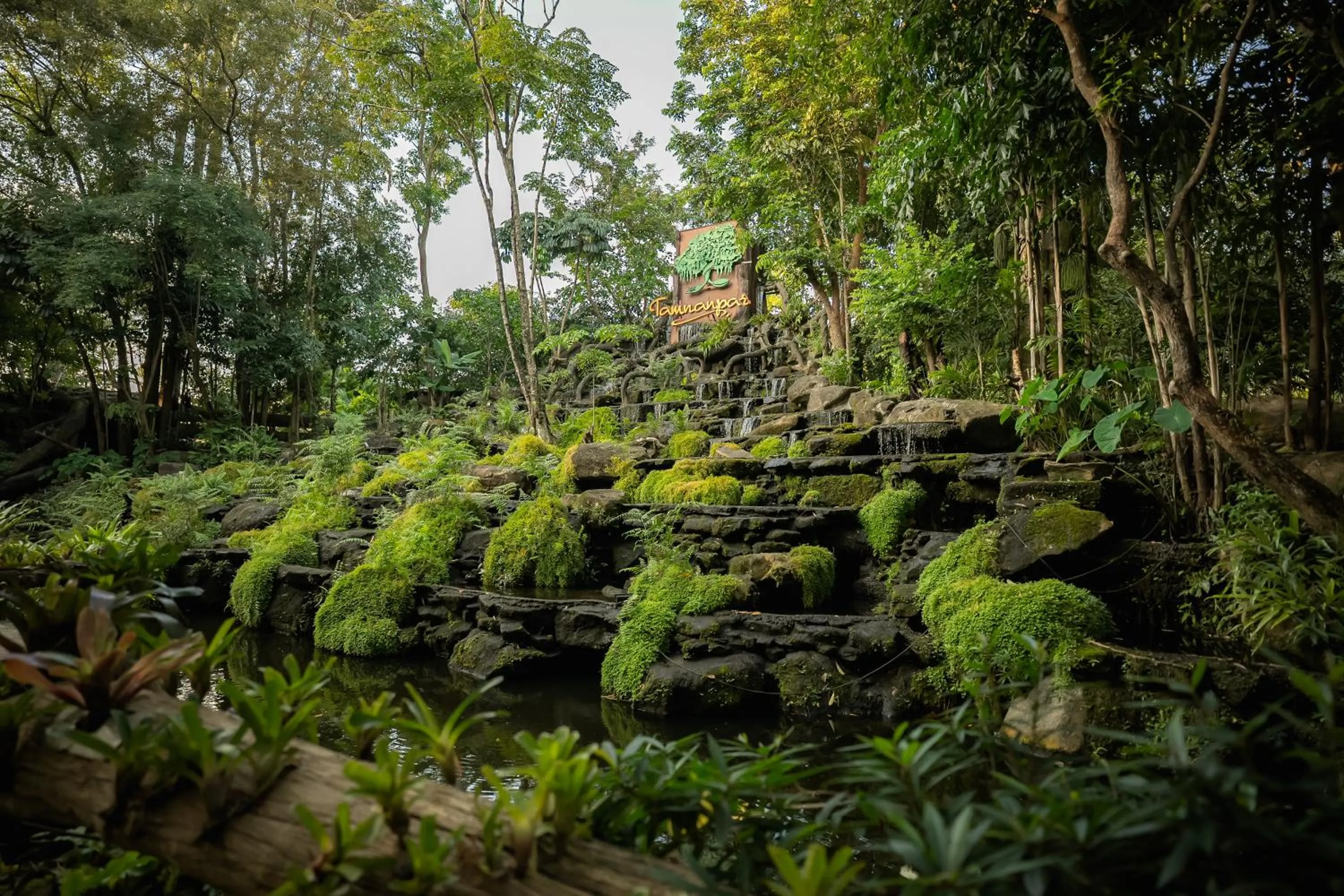 Restaurant/places to eat in Tamnanpar Resort