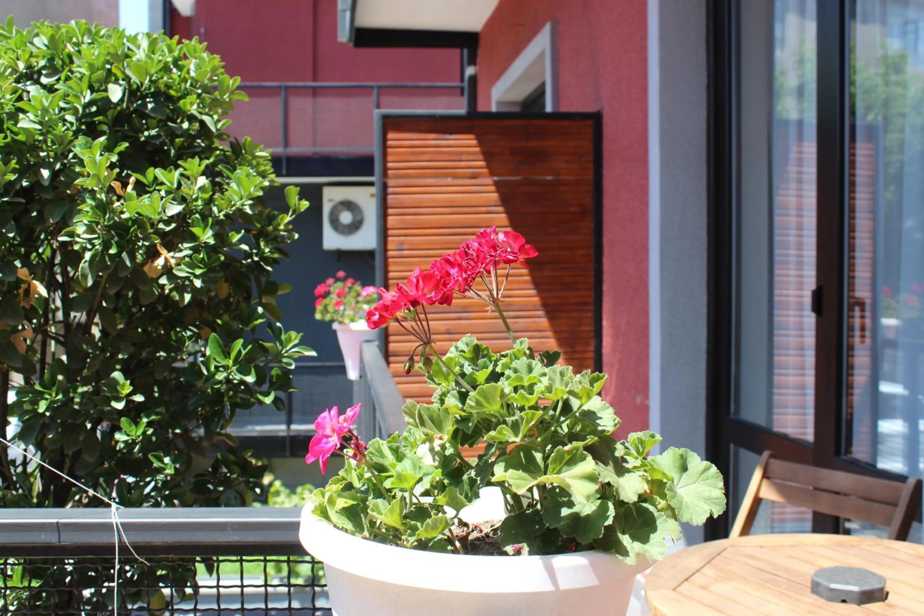 Balcony/Terrace in Alliance Hotel