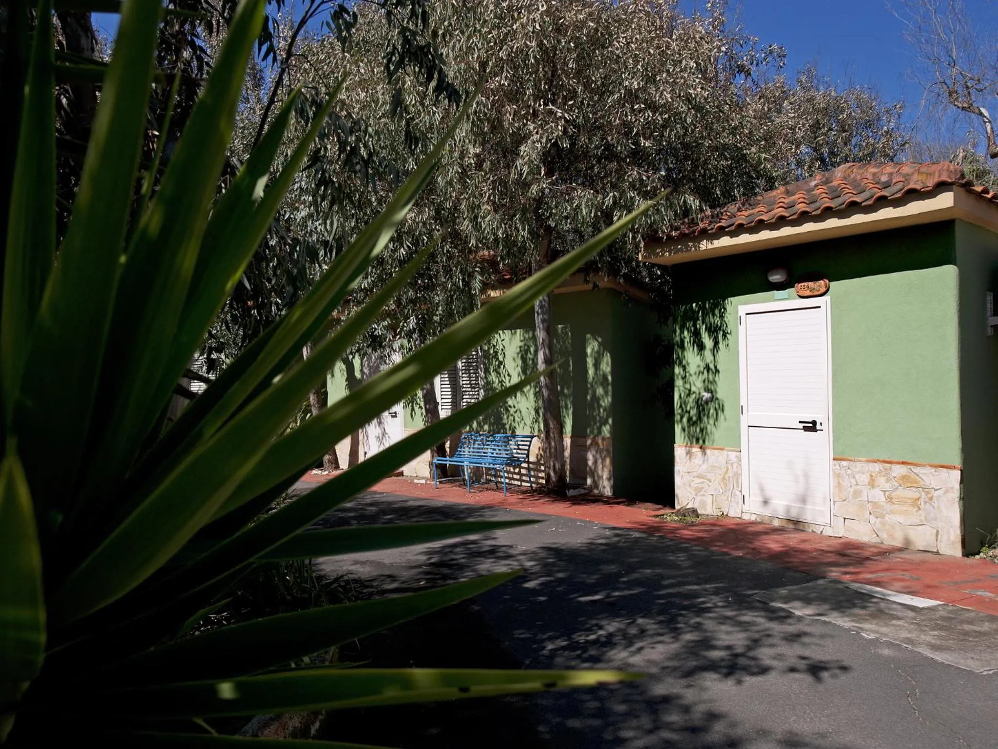 Garden in Villaggio Albergo Internazionale La Plaja
