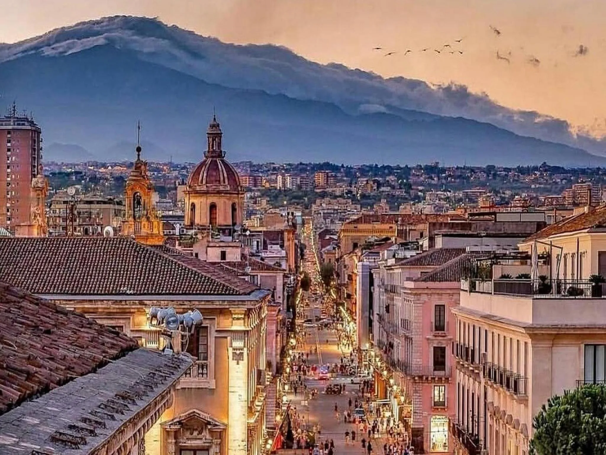 Other in Villaggio Albergo Internazionale La Plaja