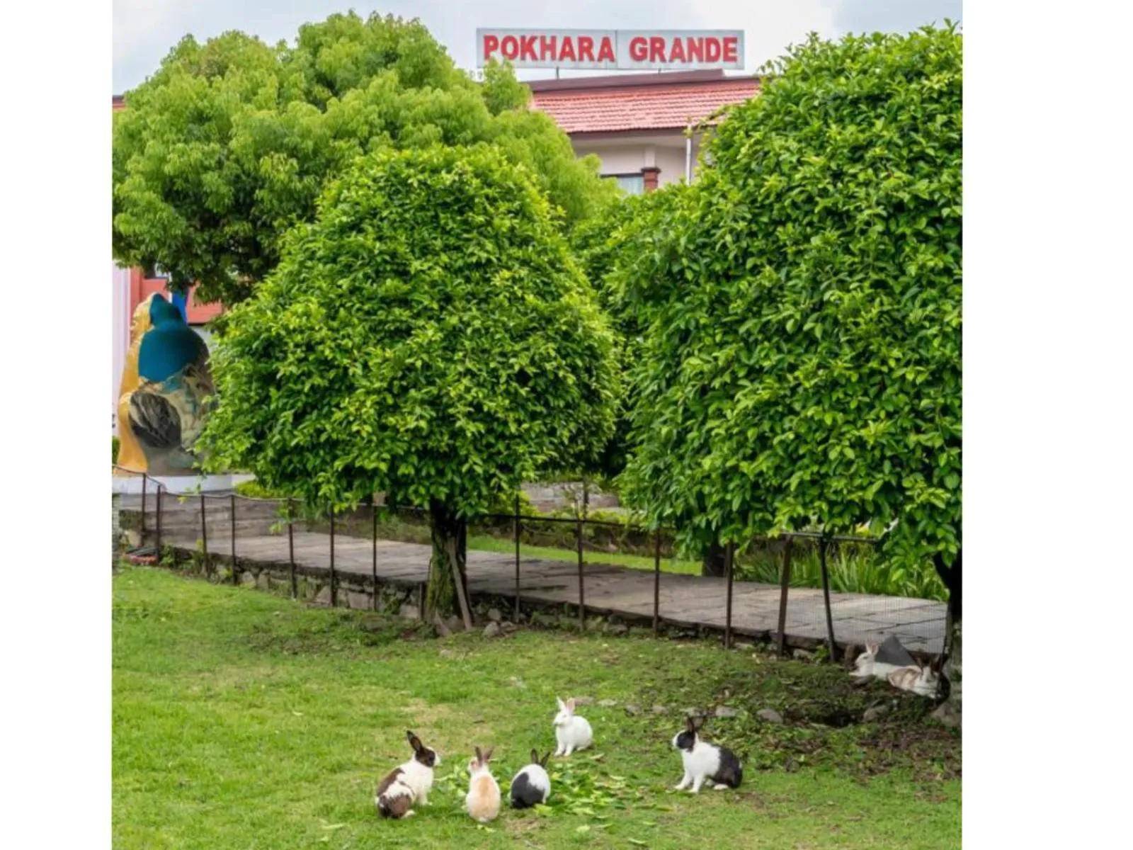 Garden in Hotel Pokhara Grande