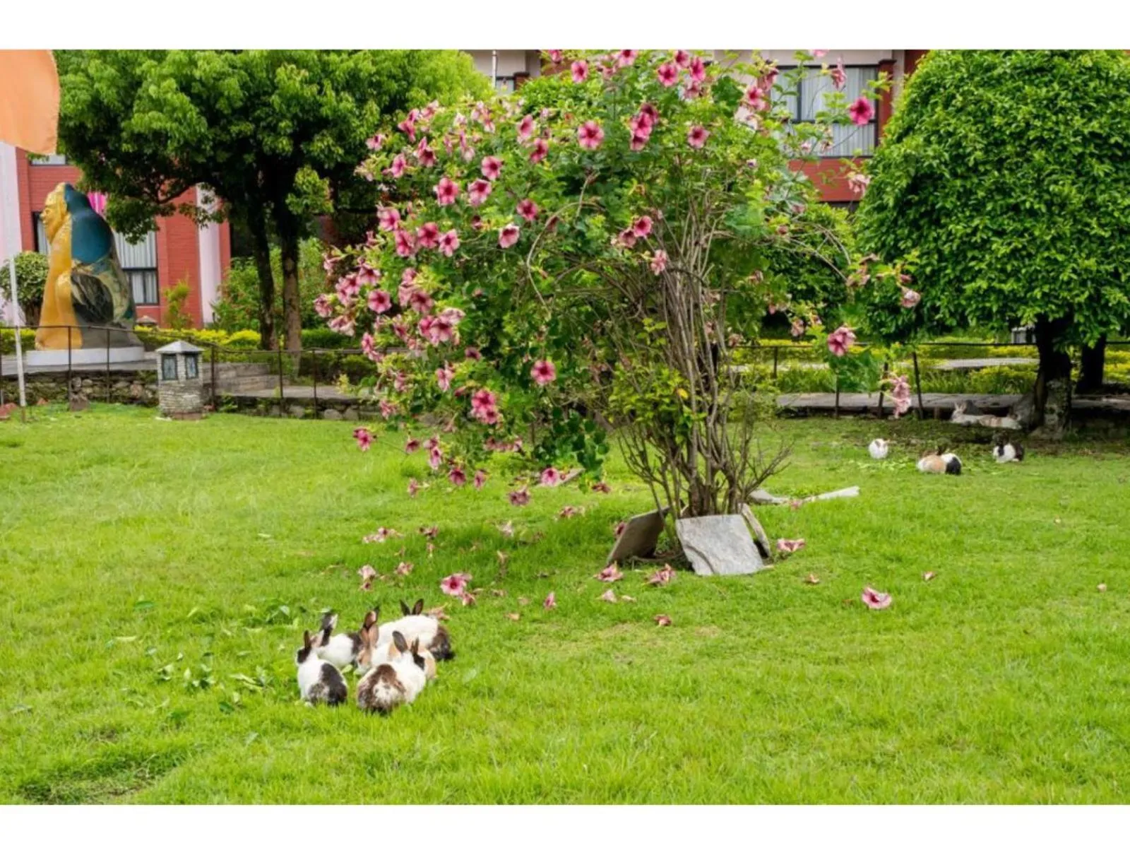 Garden in Hotel Pokhara Grande
