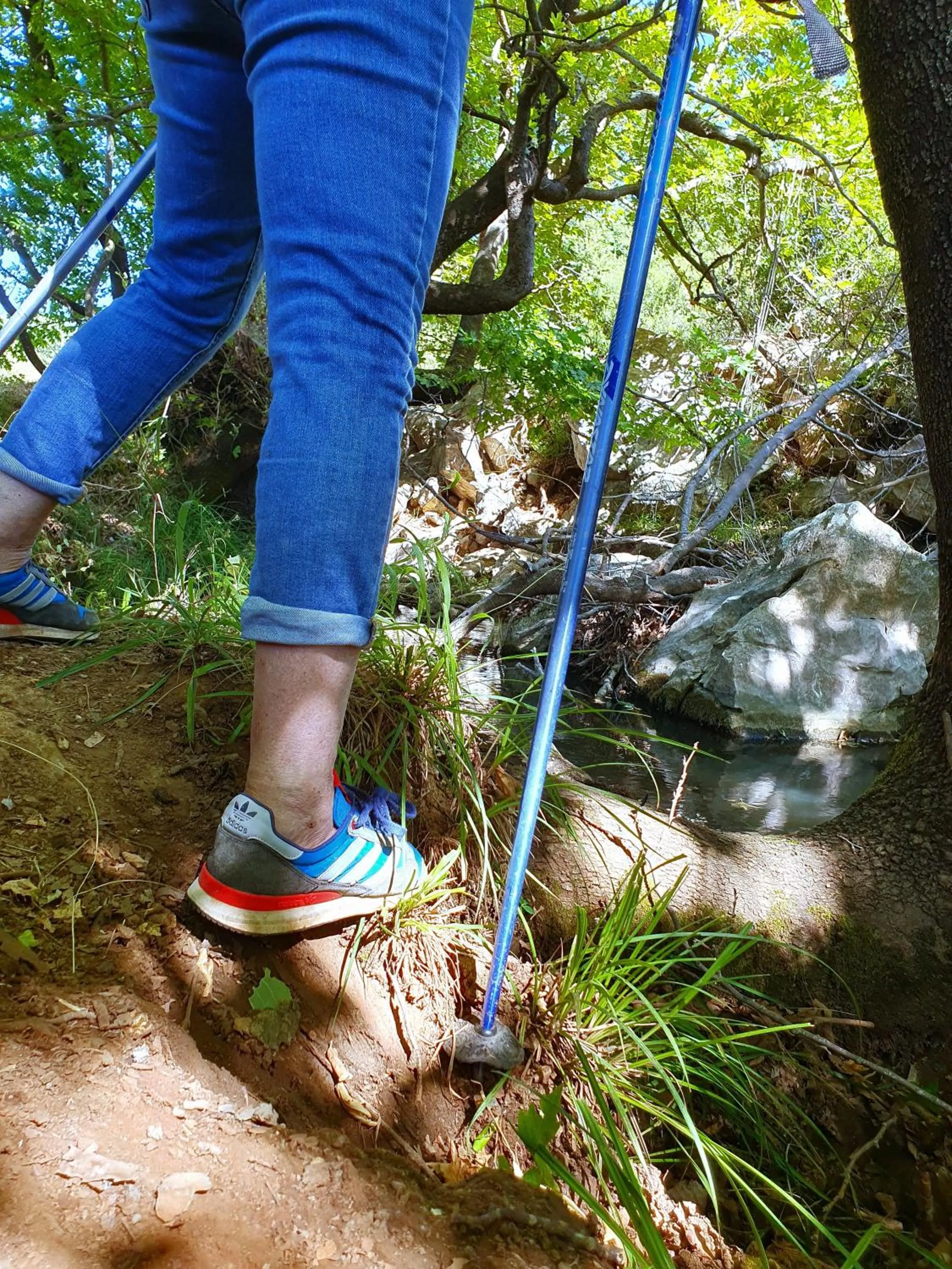 Spring in Helicon Muses Friendly Mountain B&B Guesthouse