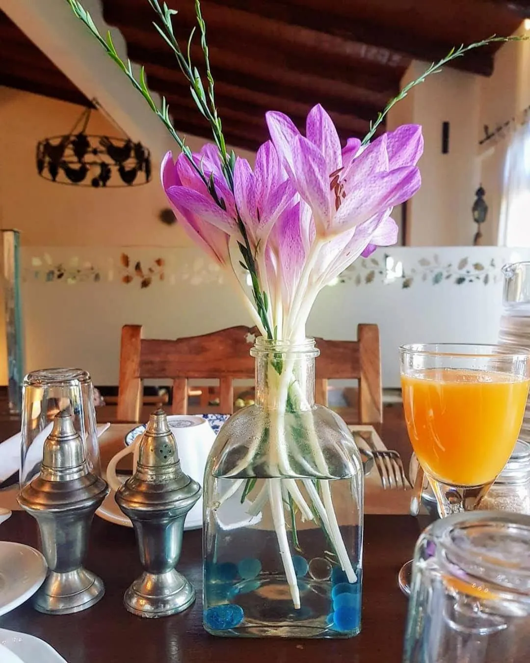 Helicon Muses Friendly Mountain B&B Guesthouse