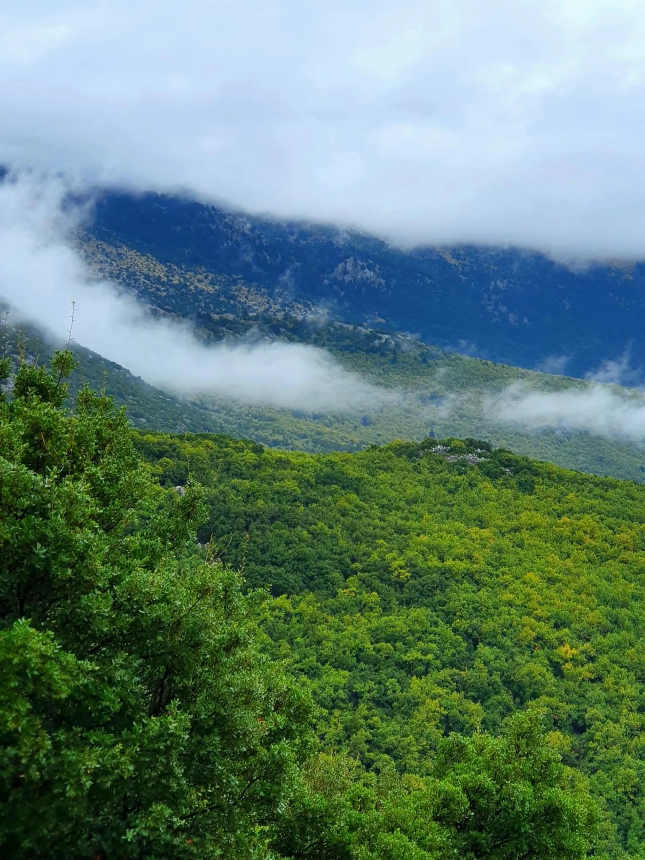 Nearby landmark in Helicon Muses Friendly Mountain B&B Guesthouse