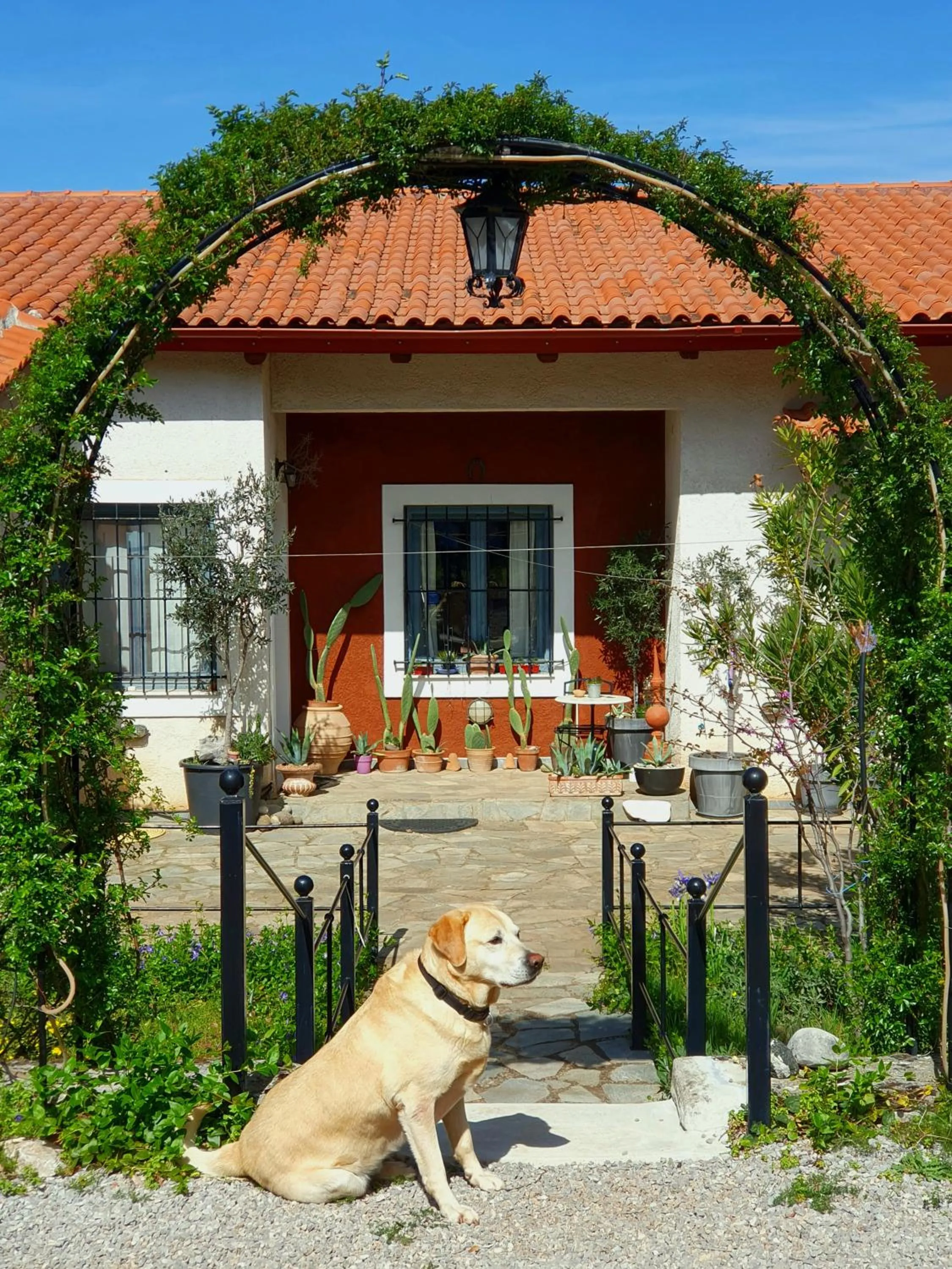 Property building in Helicon Muses Friendly Mountain B&B Guesthouse