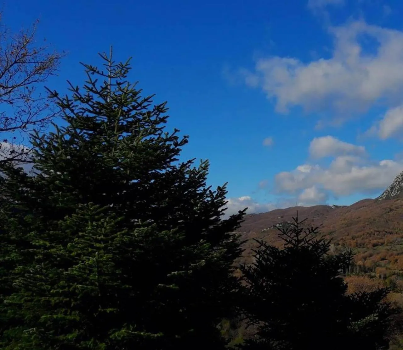 Mountain view in Helicon Muses Friendly Mountain B&B Guesthouse