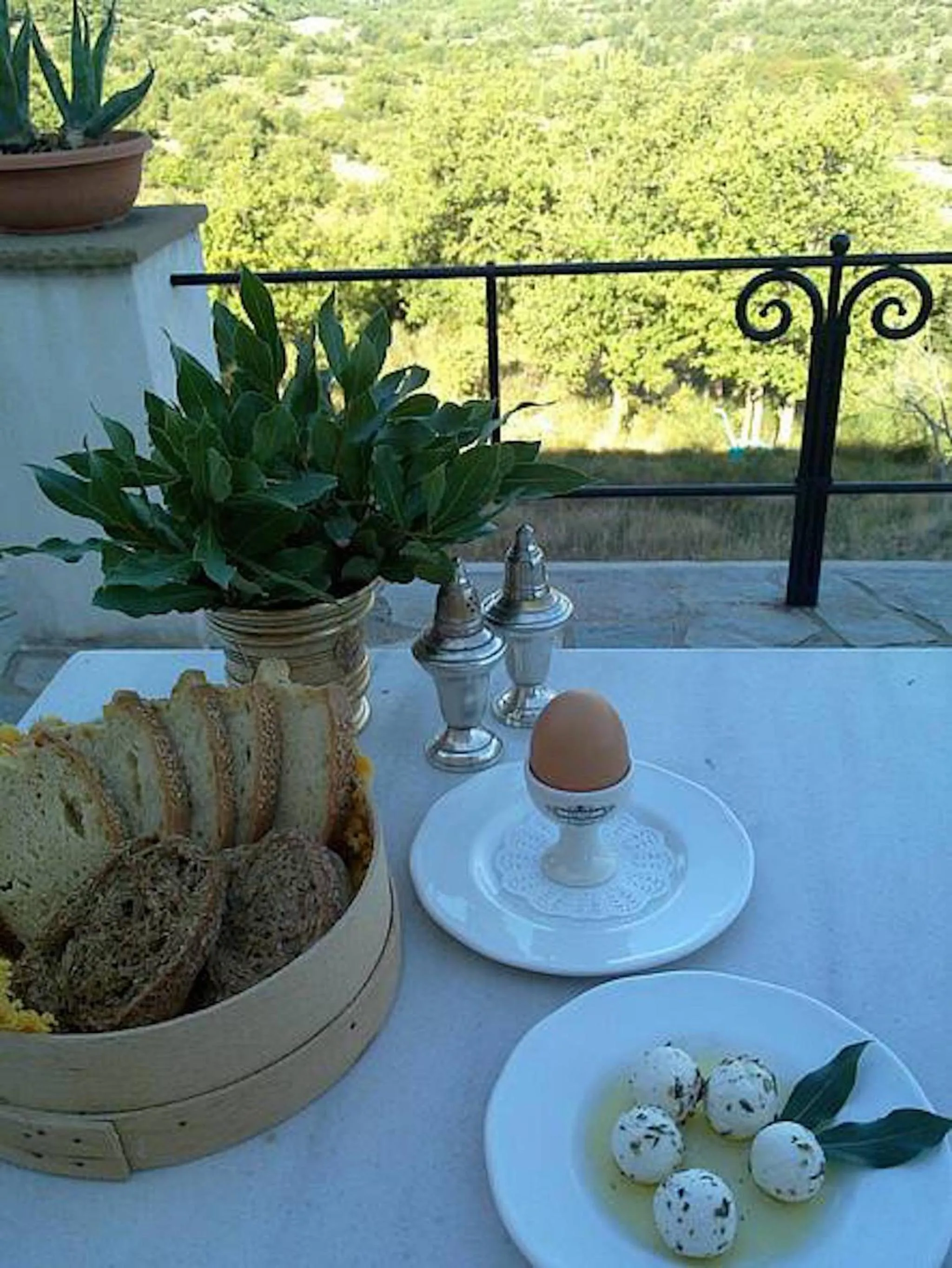 Food close-up in Helicon Muses Friendly Mountain B&B Guesthouse