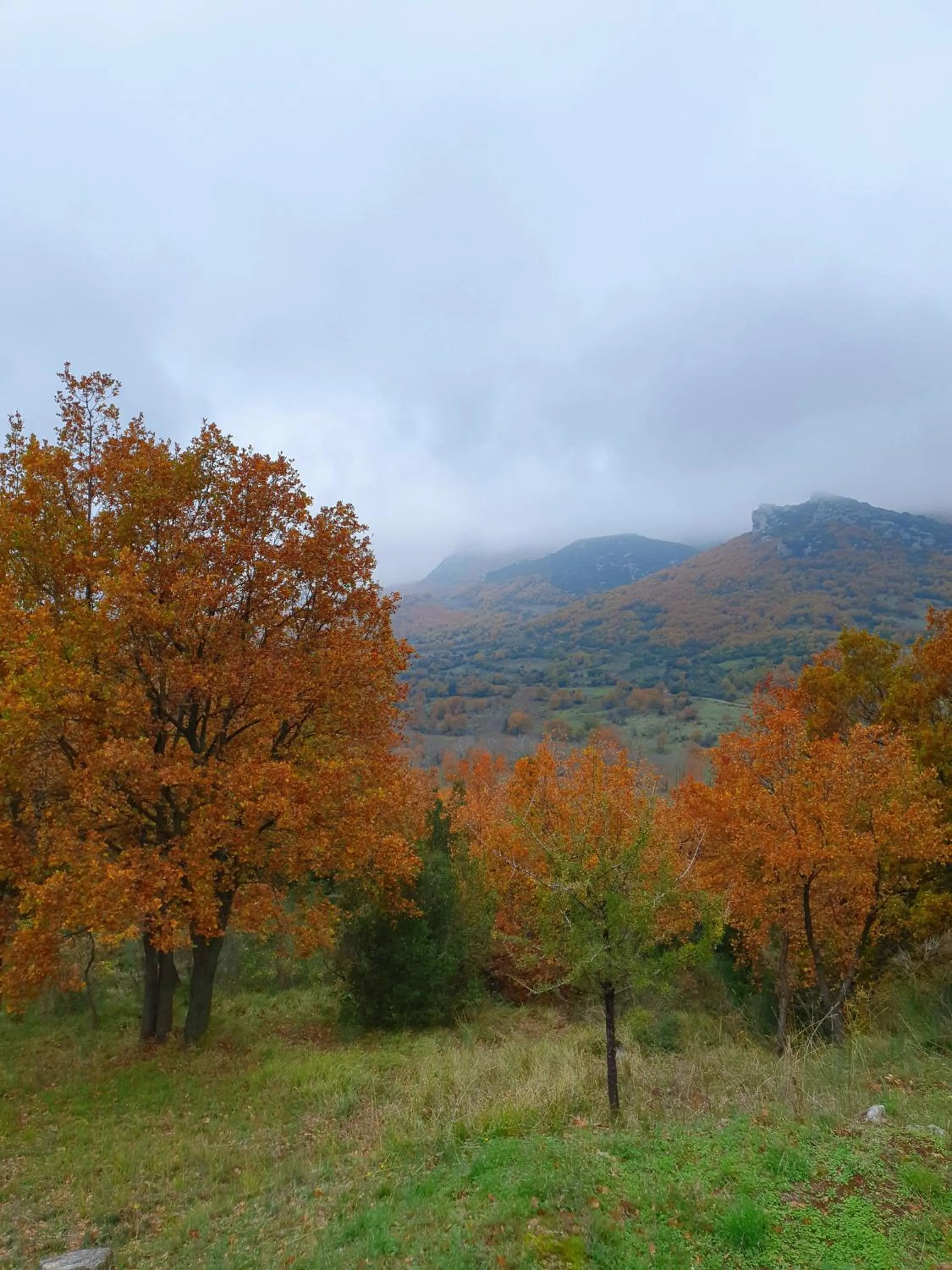 Day in Helicon Muses Friendly Mountain B&B Guesthouse