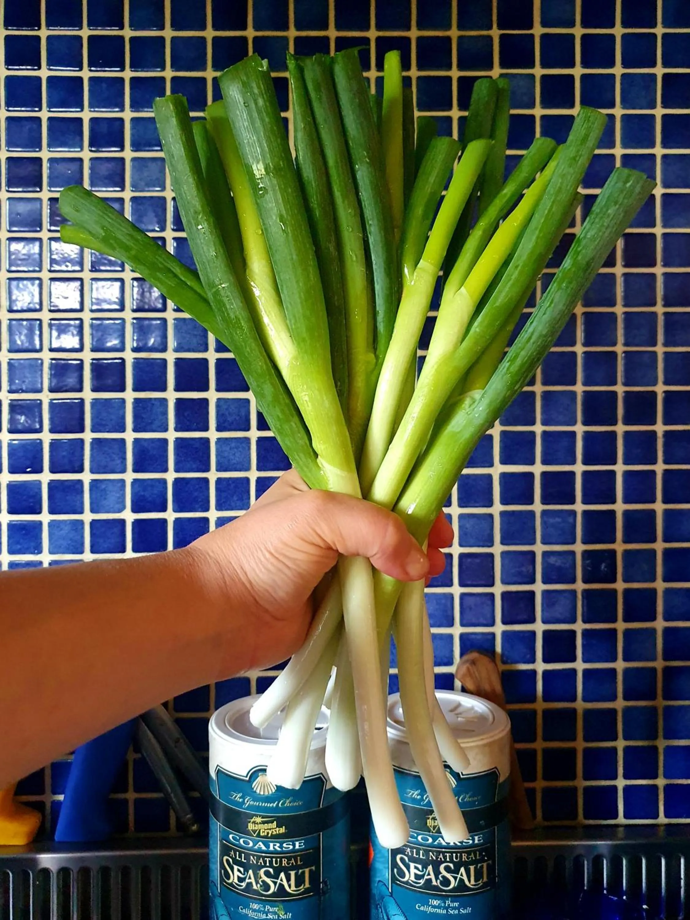 Food and drinks in Helicon Muses Friendly Mountain B&B Guesthouse