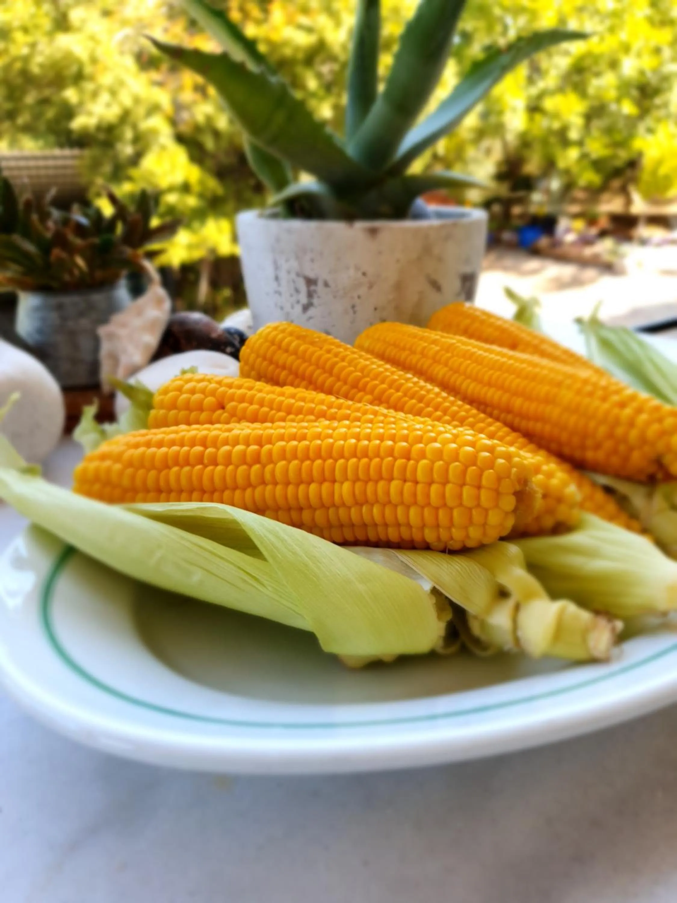 Food in Helicon Muses Friendly Mountain B&B Guesthouse