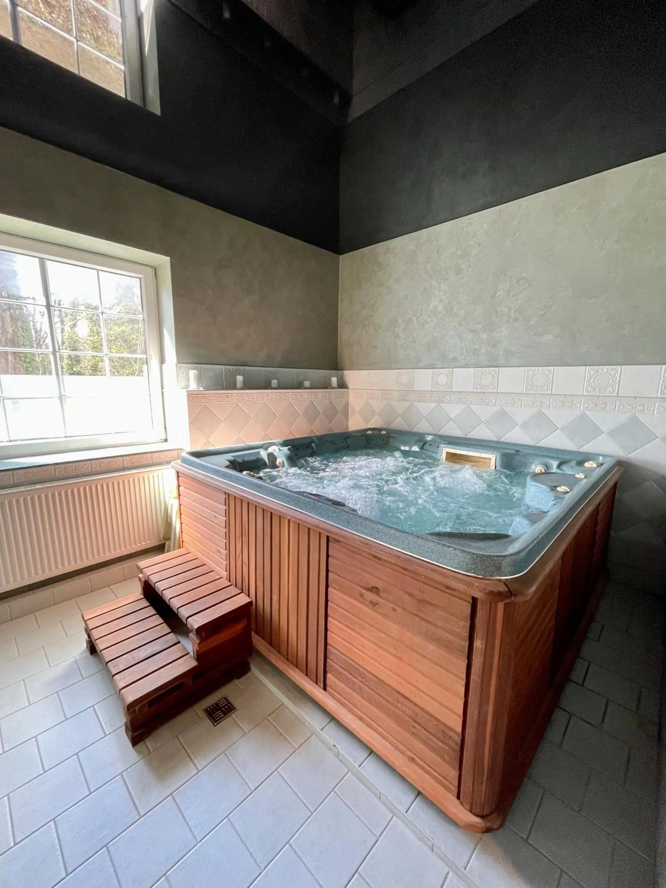 Spa and wellness centre/facilities in Hotel Ostrov