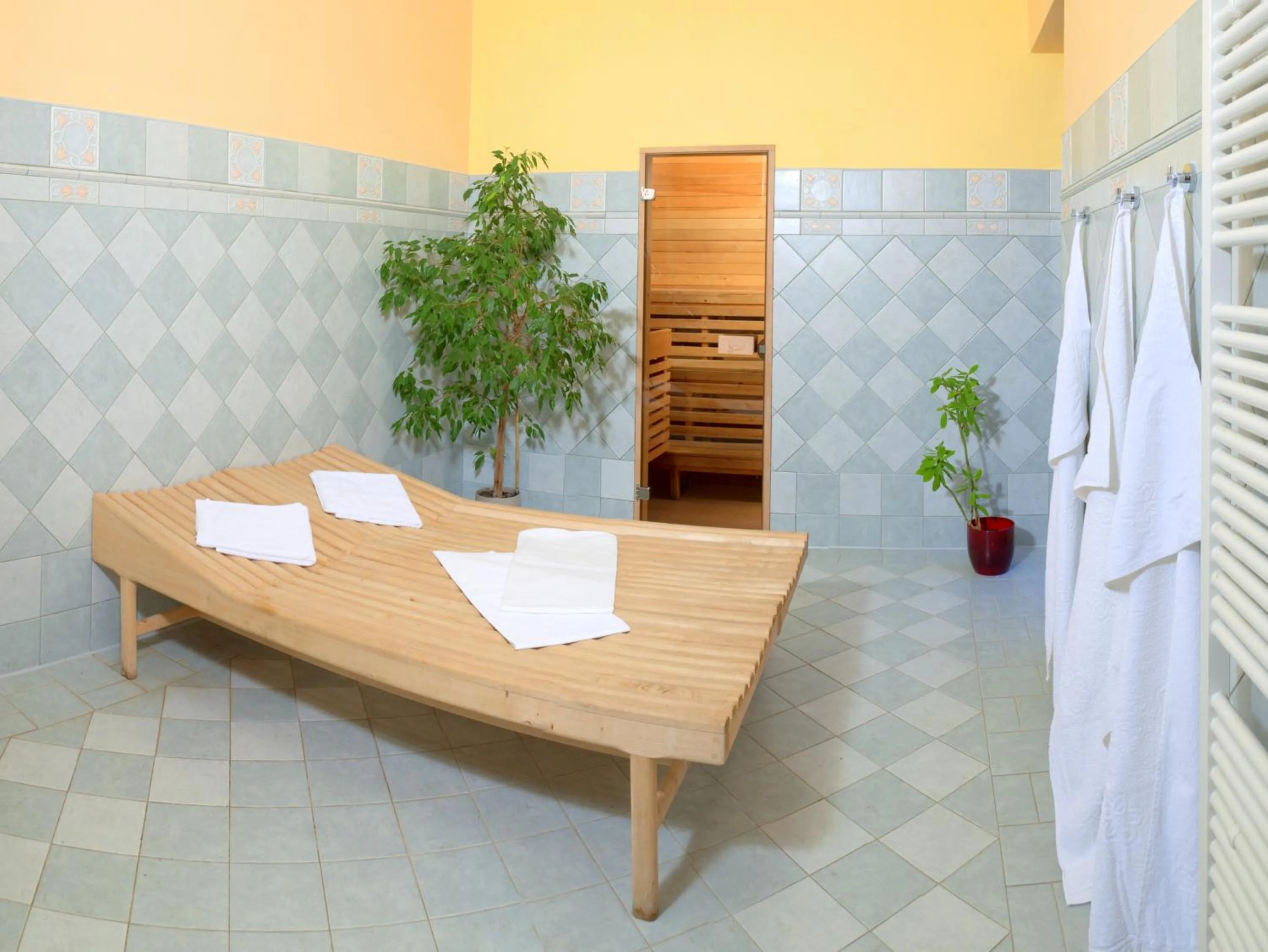 Spa and wellness centre/facilities in Hotel Ostrov
