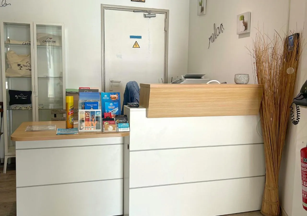 Lobby or reception in Hôtel Le Carnon