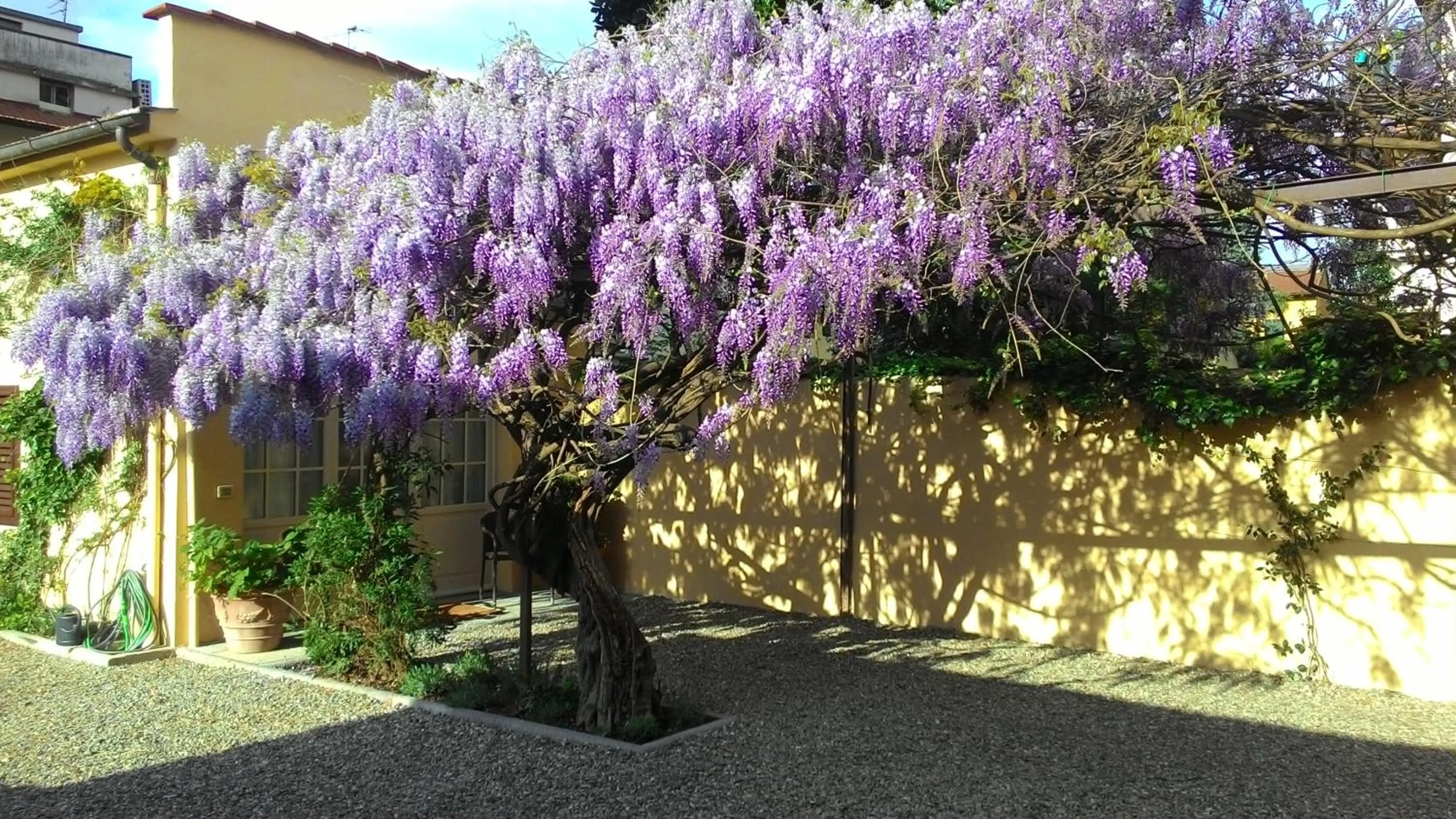 Spring in Villino Fiorentino