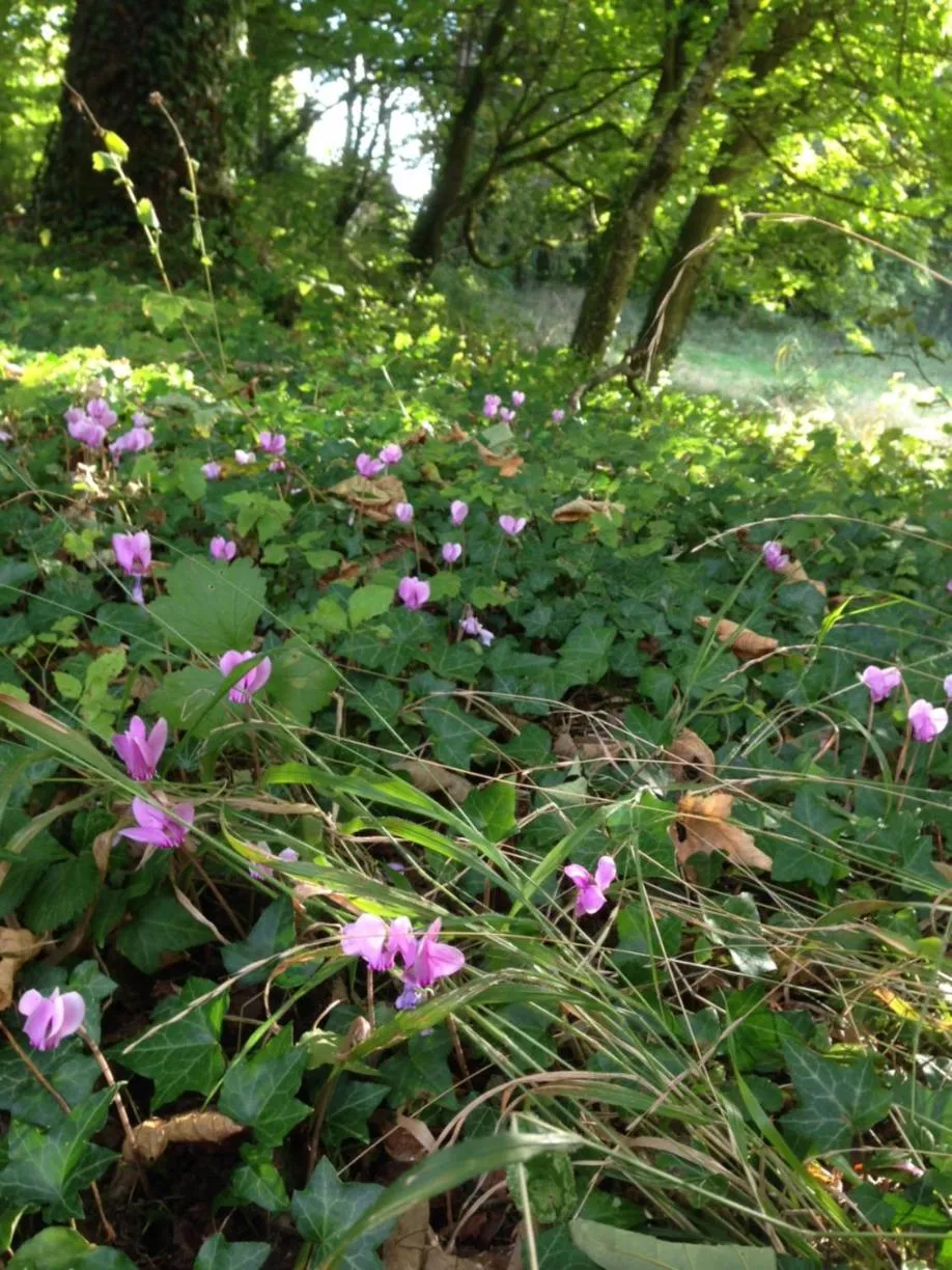 Garden in Art House Domaine de l'Ocrerie